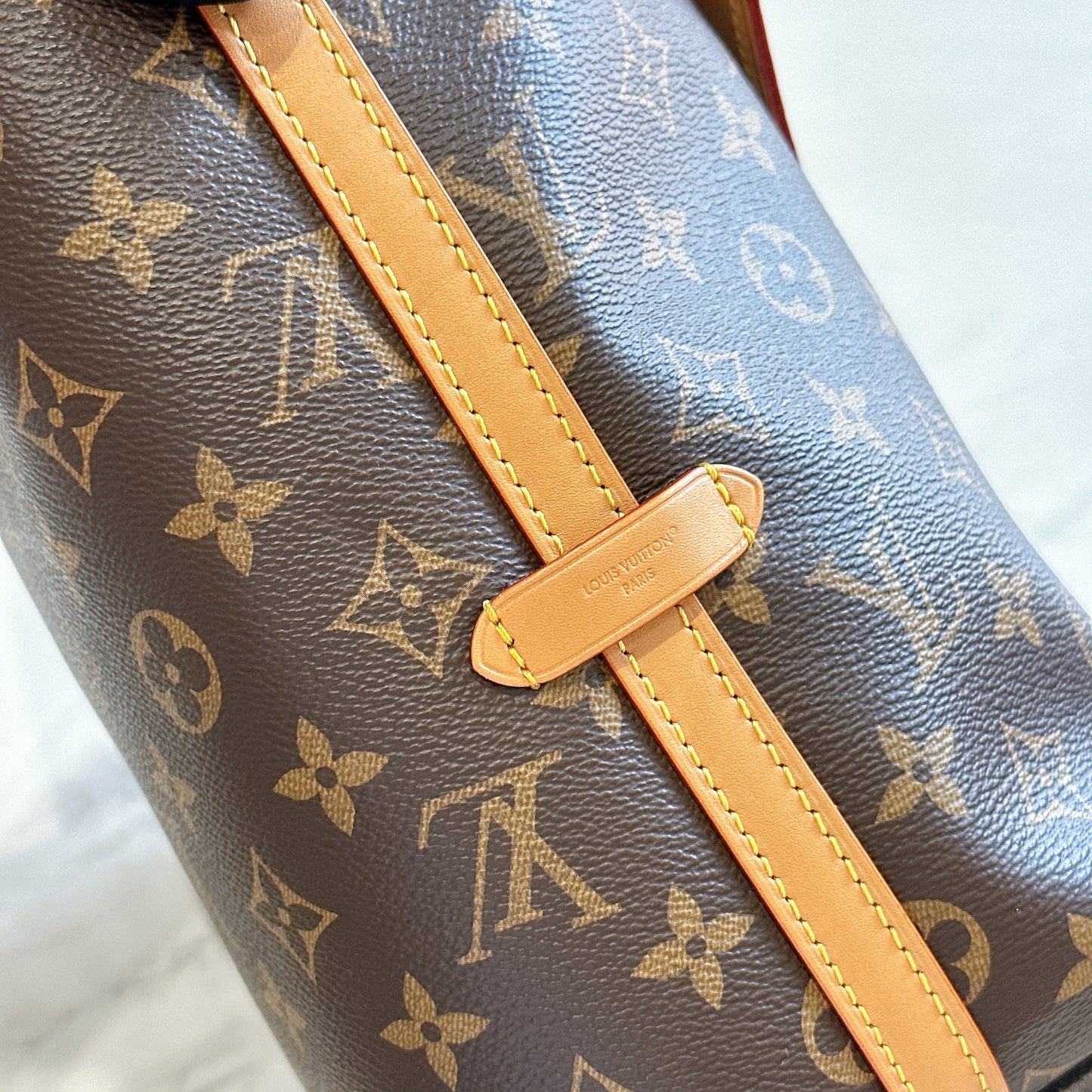 LV Monogram Carryall PM