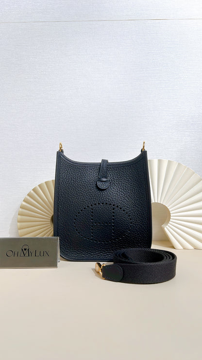 Hermes Mini Evelyn in Caban