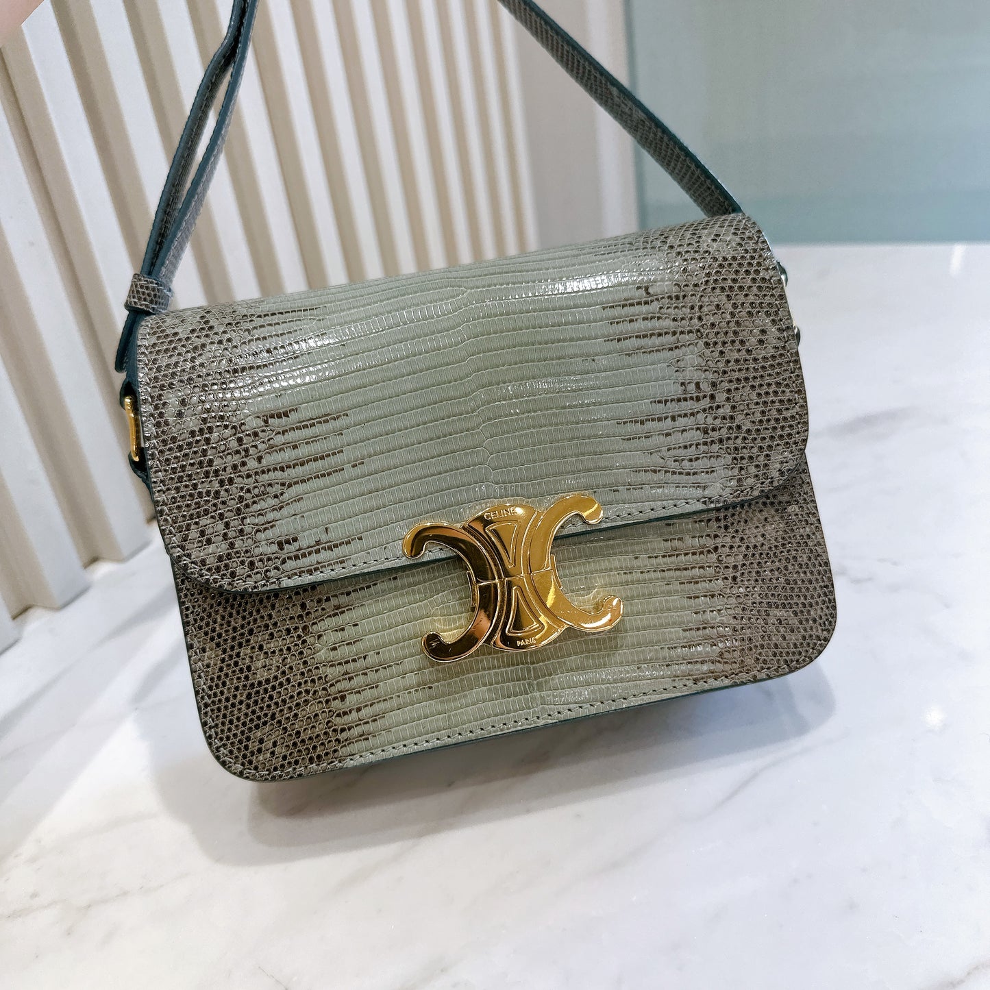 Celine Teen Triomphe Bag in Lizard