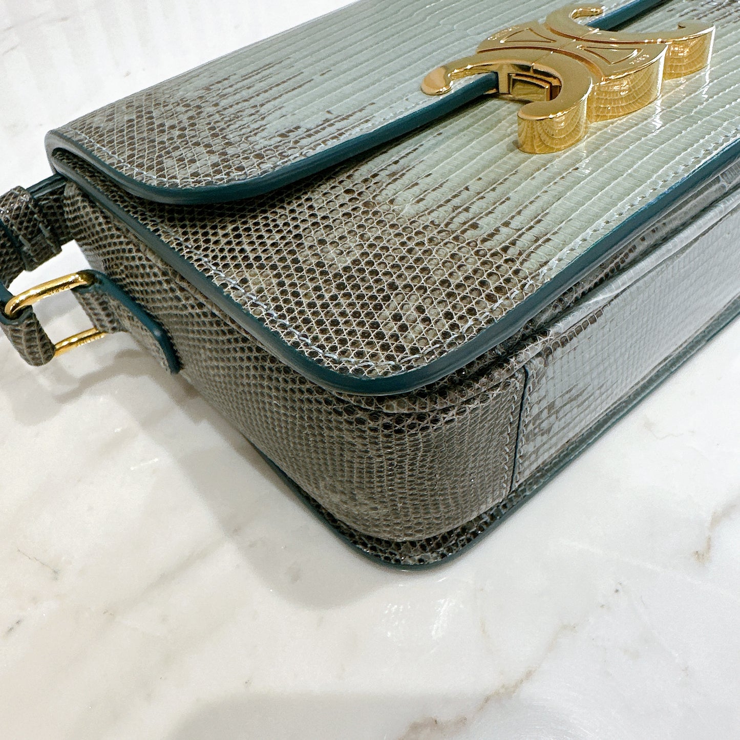 Celine Teen Triomphe Bag in Lizard