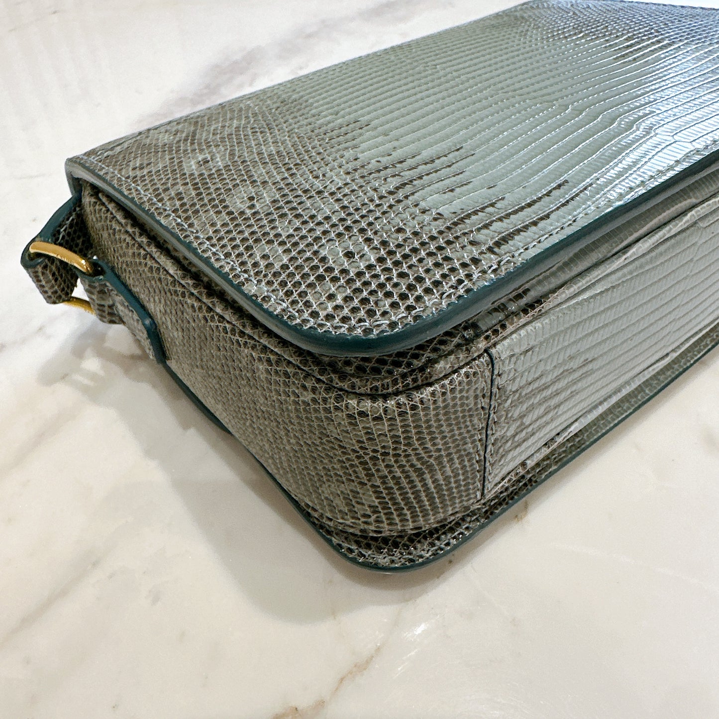 Celine Teen Triomphe Bag in Lizard