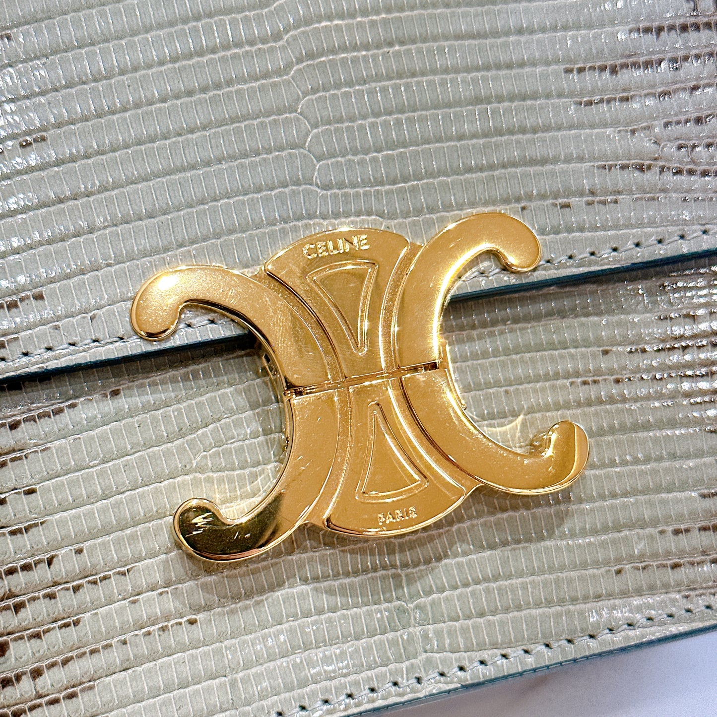 Celine Teen Triomphe Bag in Lizard