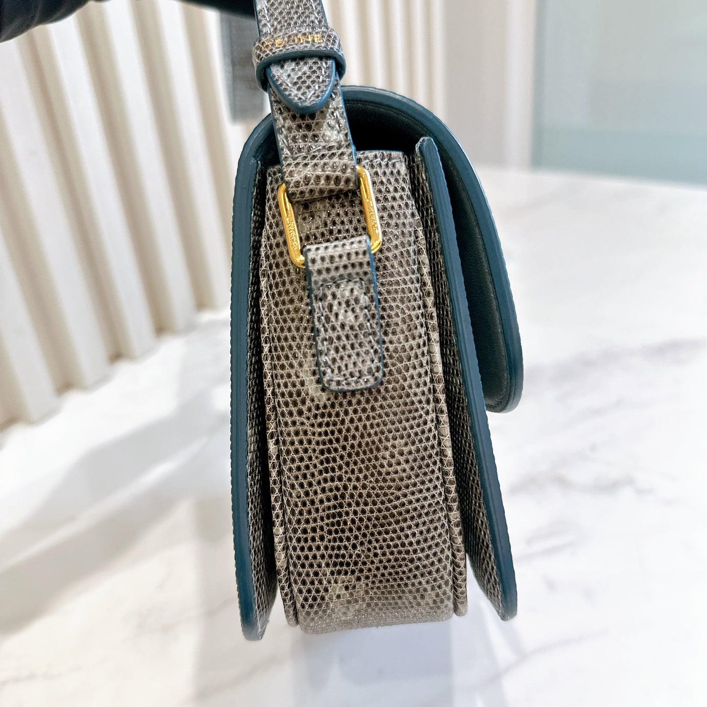 Celine Teen Triomphe Bag in Lizard