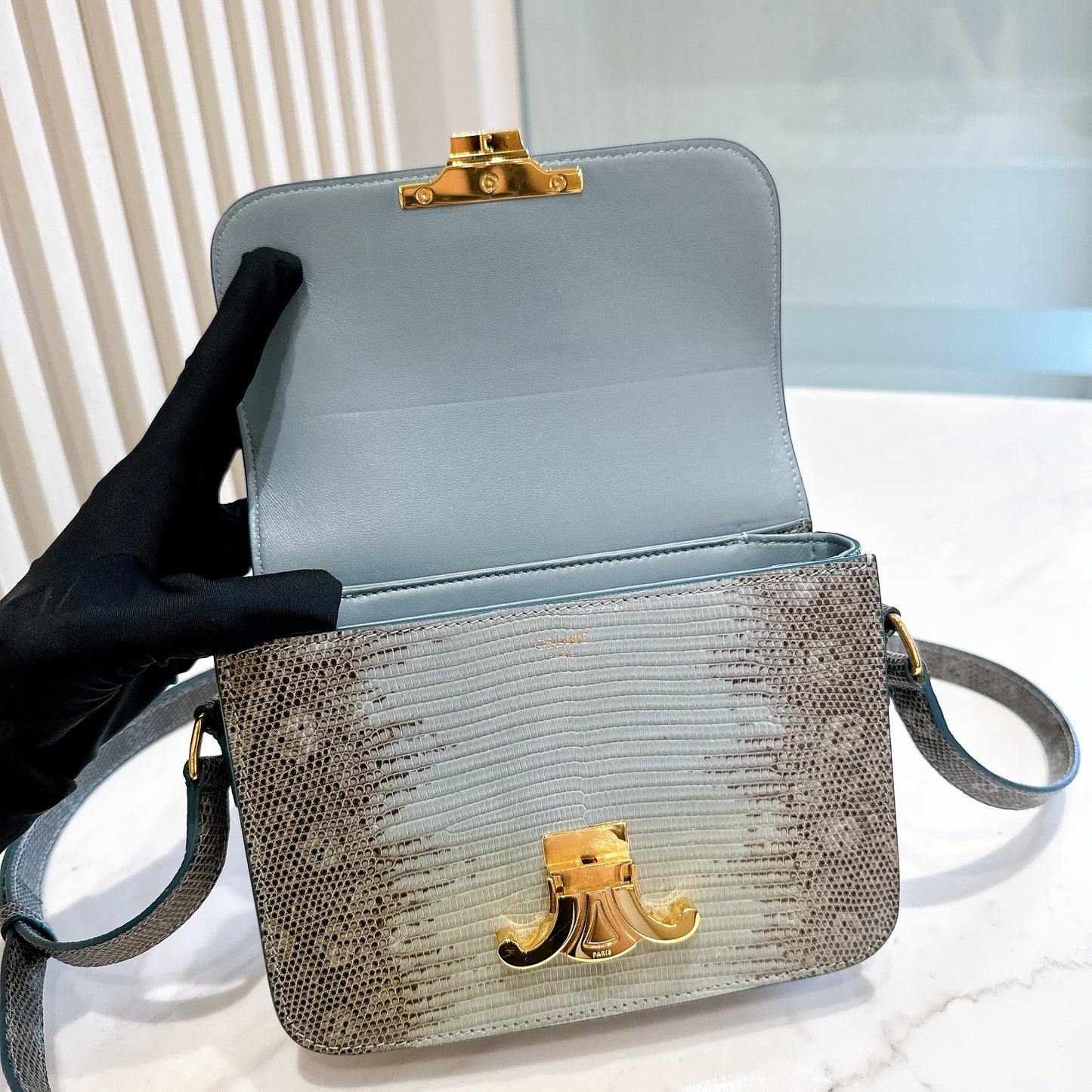 Celine Teen Triomphe Bag in Lizard