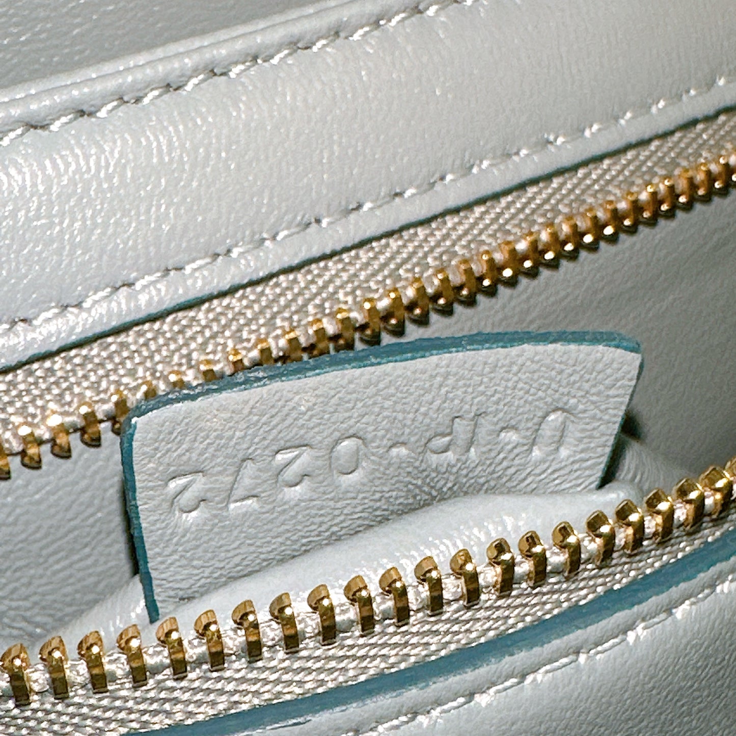 Celine Teen Triomphe Bag in Lizard