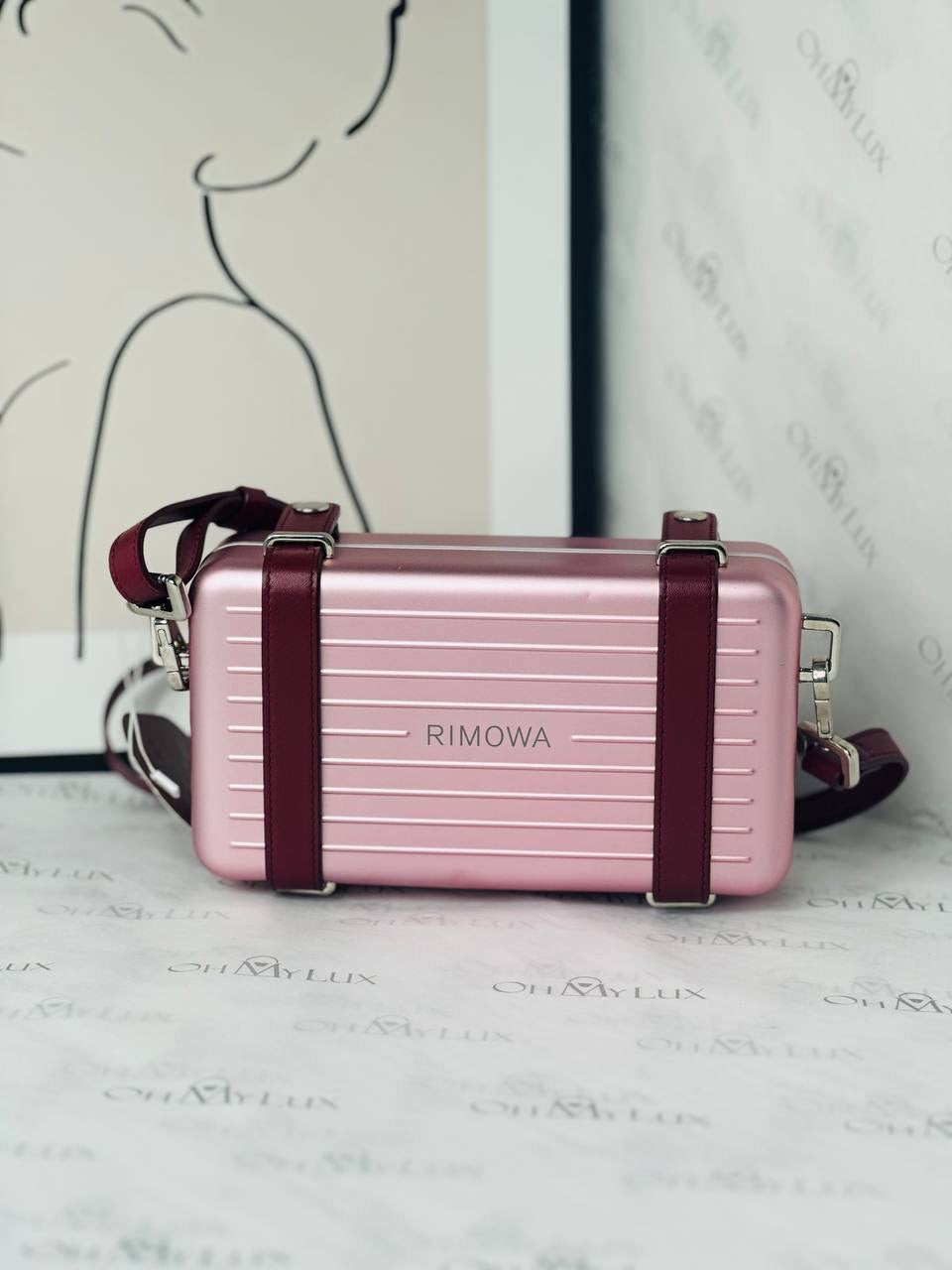 Dior x Rimowa Clutch With Strap