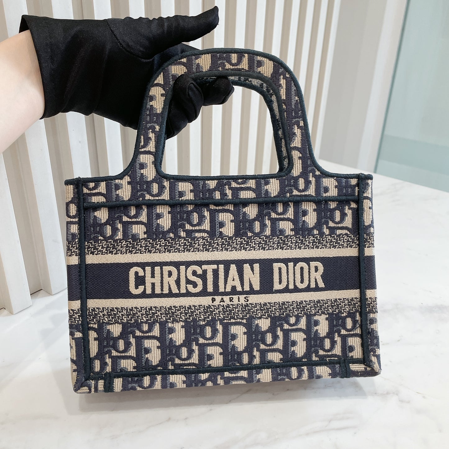 Dior Mini Book Tote
