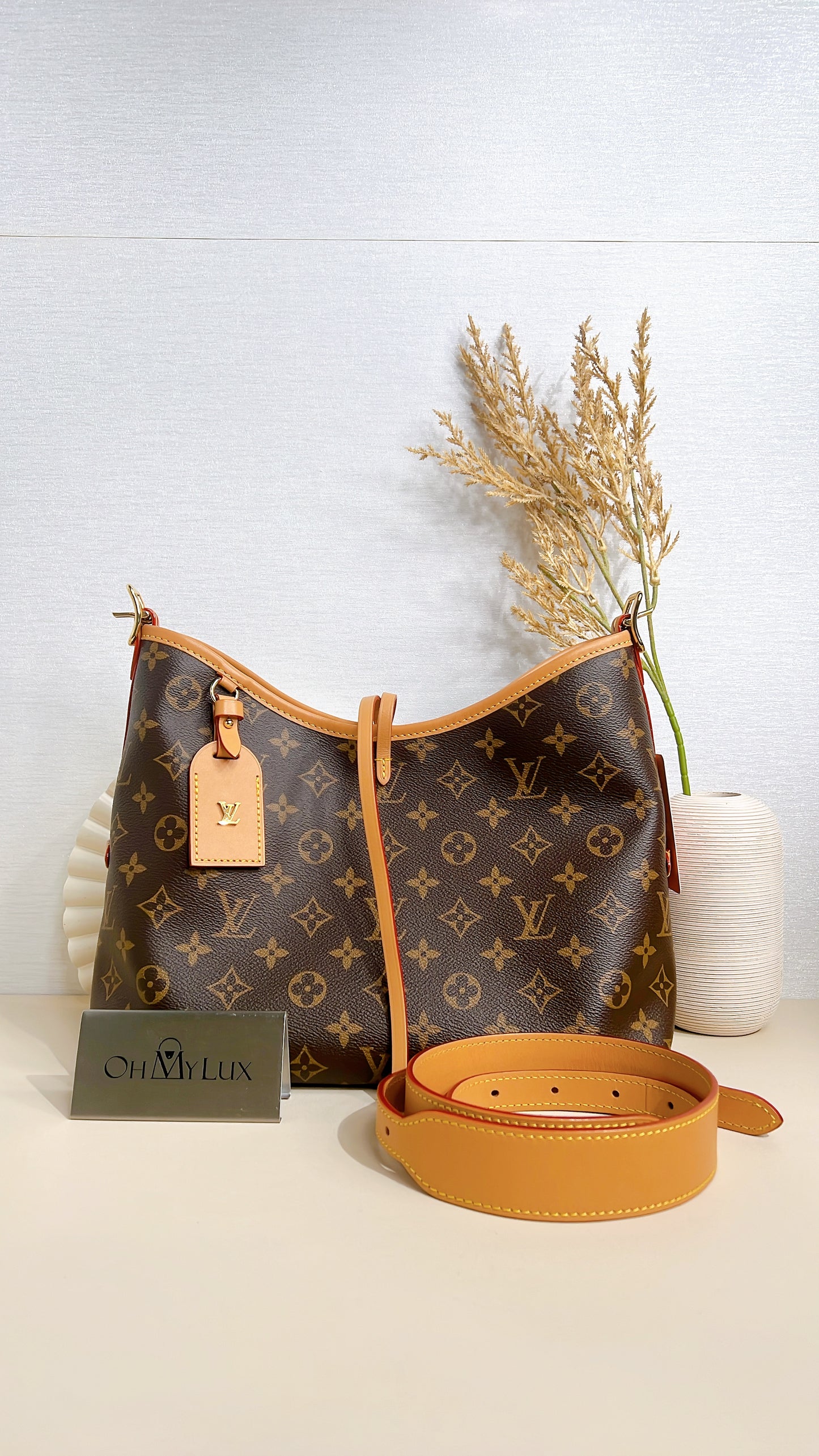 LV Monogram Carryall PM