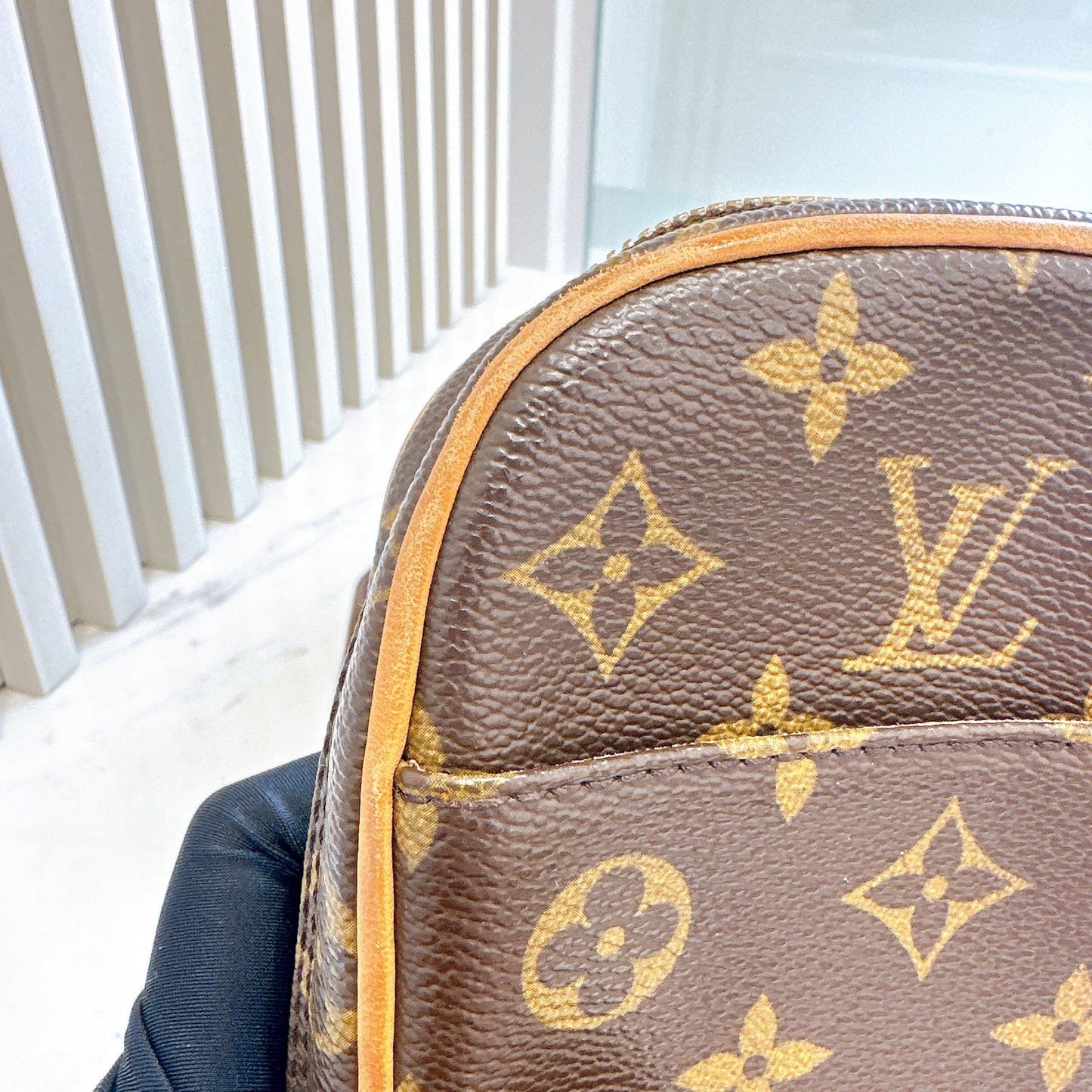 LV Monogram Pochette Gange