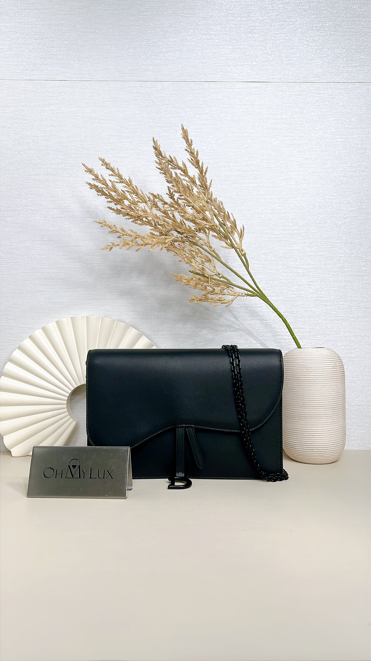 Dior Saddle Pouch in Black Calfskin