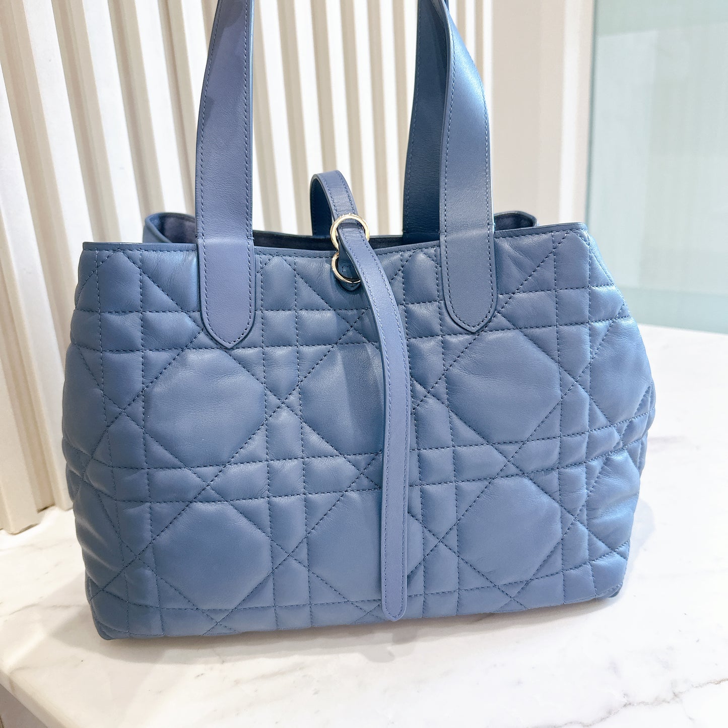 Dior Toujours Medium in Blue