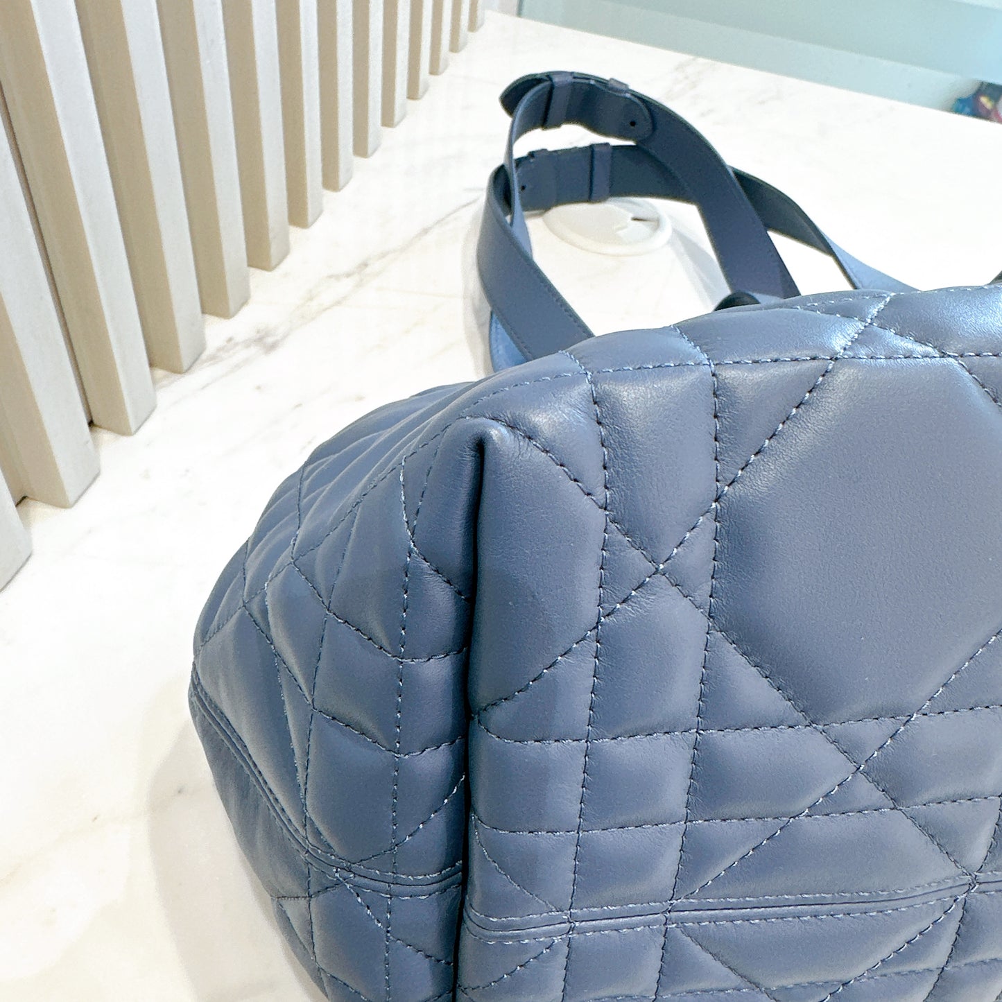 Dior Toujours Medium in Blue
