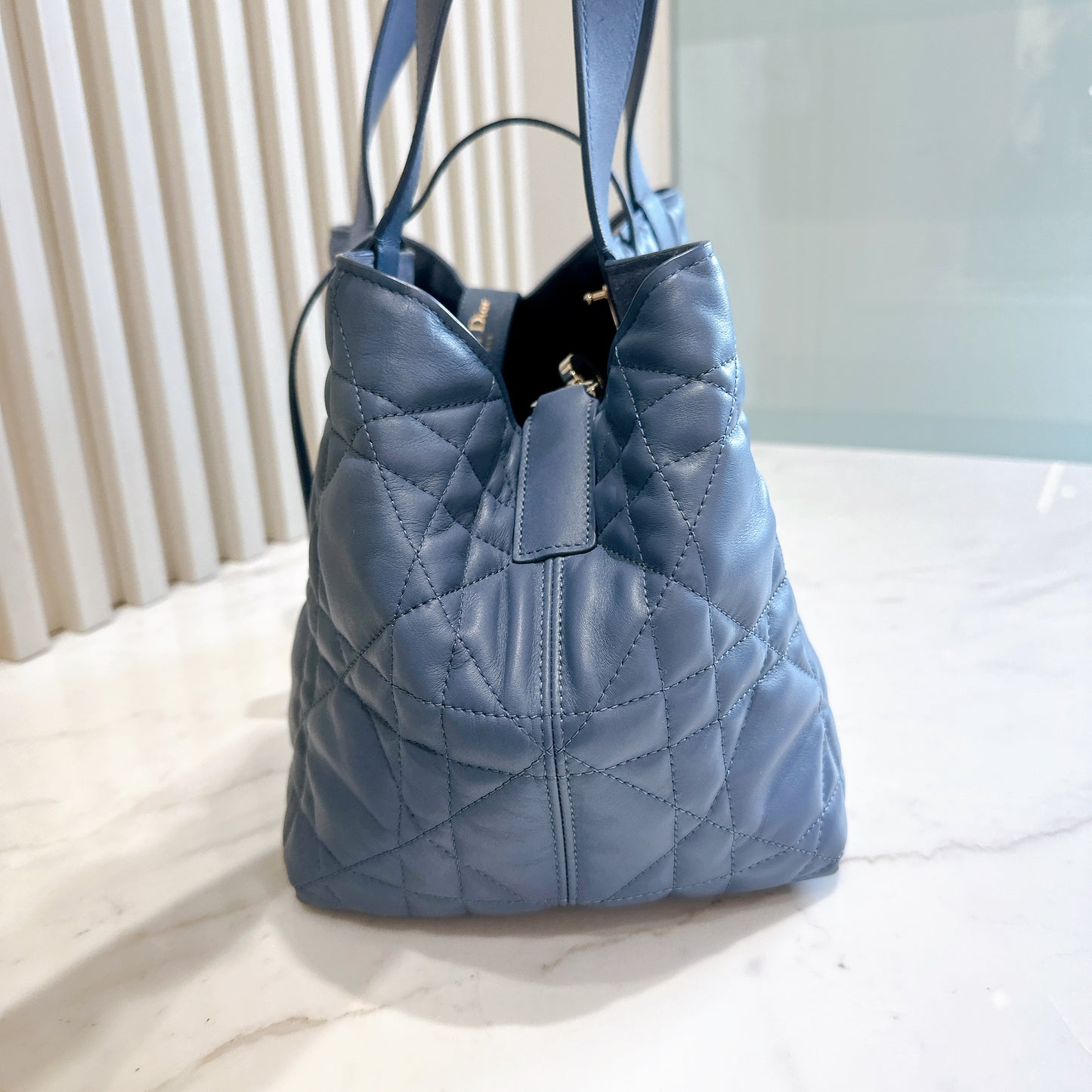 Dior Toujours Medium in Blue