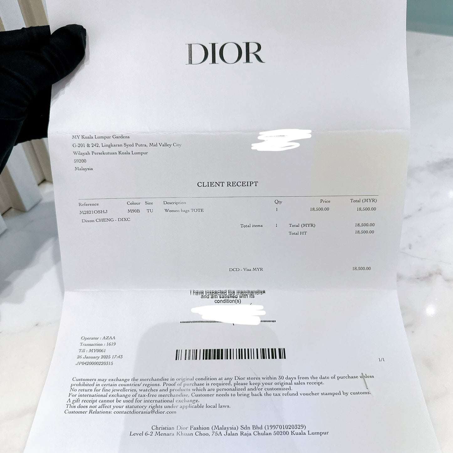 Dior Toujours Medium in Blue