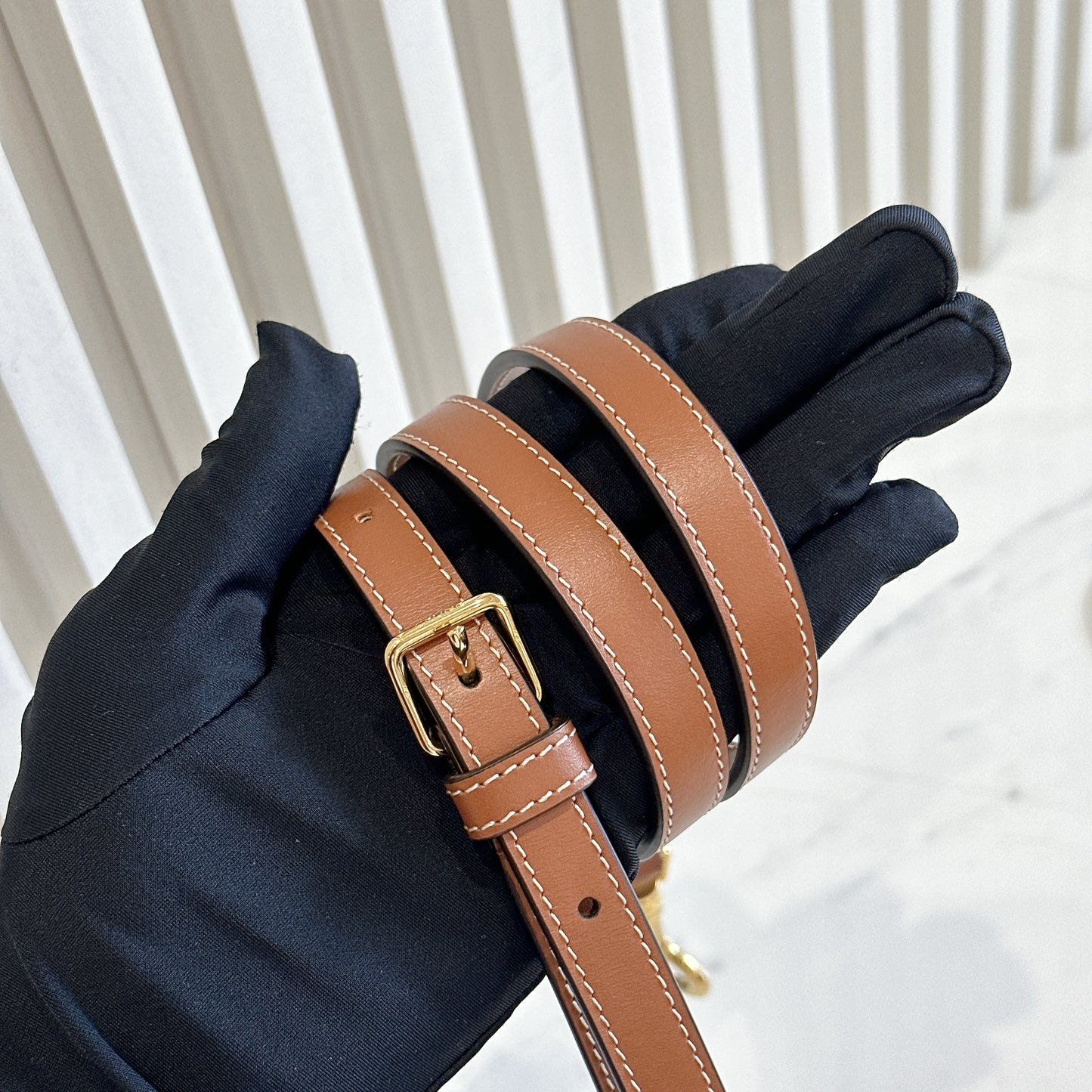 Celine Small Boston in Triomphe Canvas