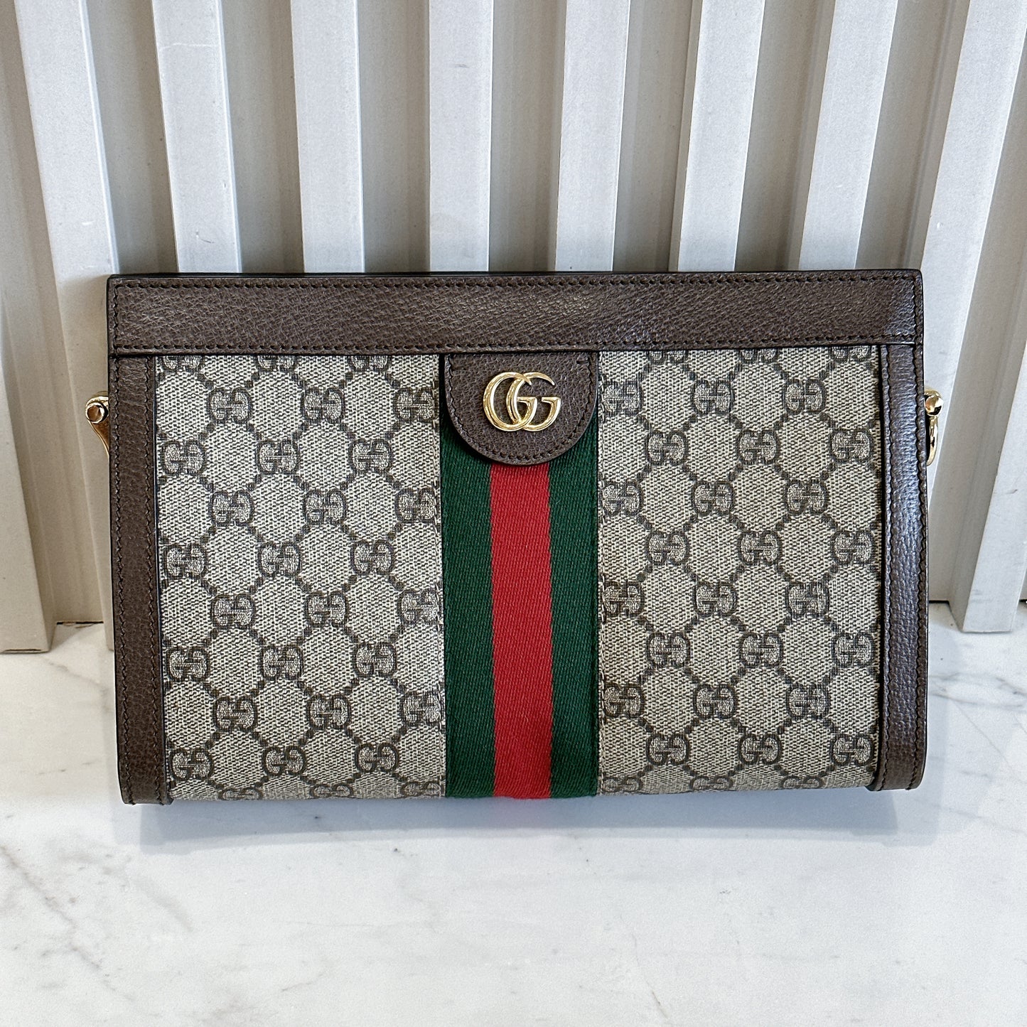 Gucci Ophidia Chain Bag
