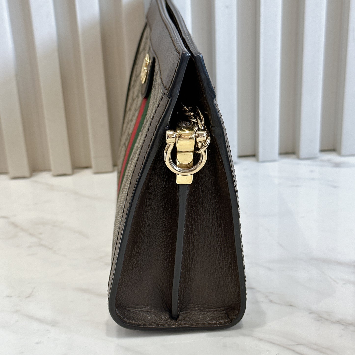 Gucci Ophidia Chain Bag