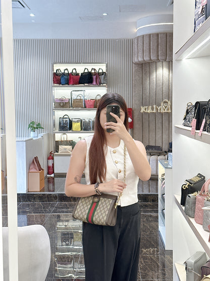 Gucci Ophidia Chain Bag