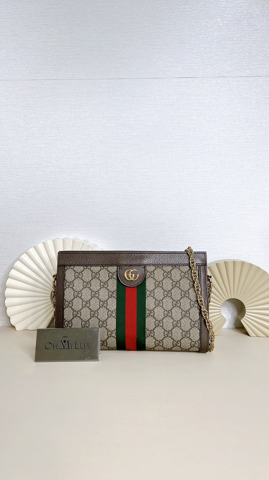 Gucci Ophidia Chain Bag