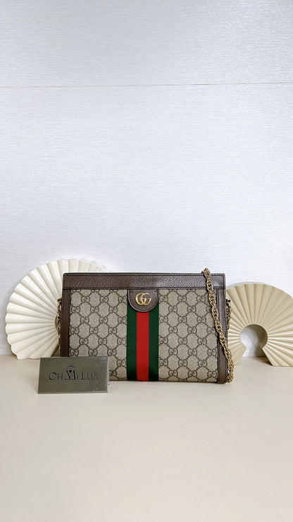 Gucci Ophidia Chain Bag