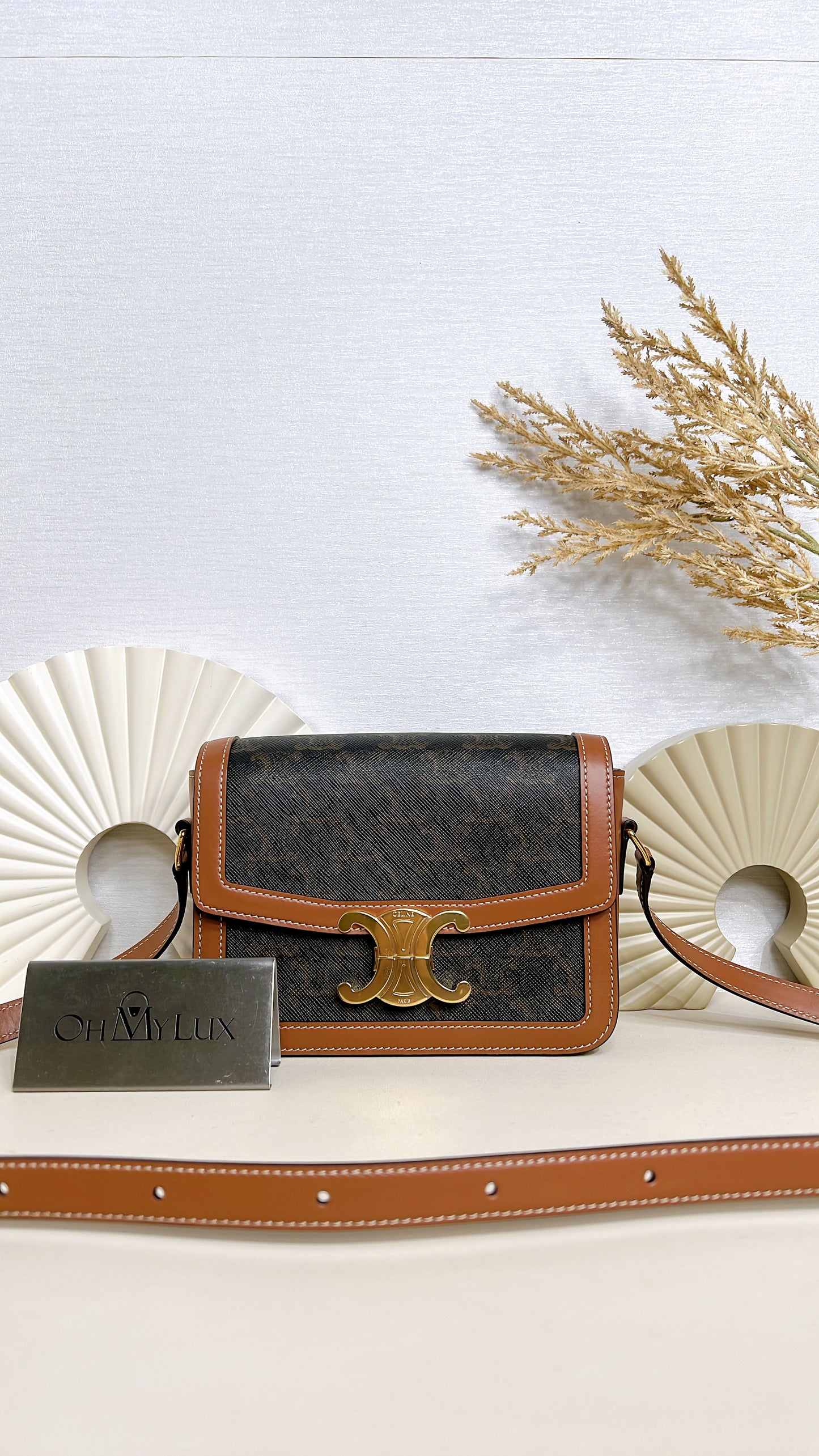 Celine Teen Triomphe in Triomphe Canvas and Calfskin