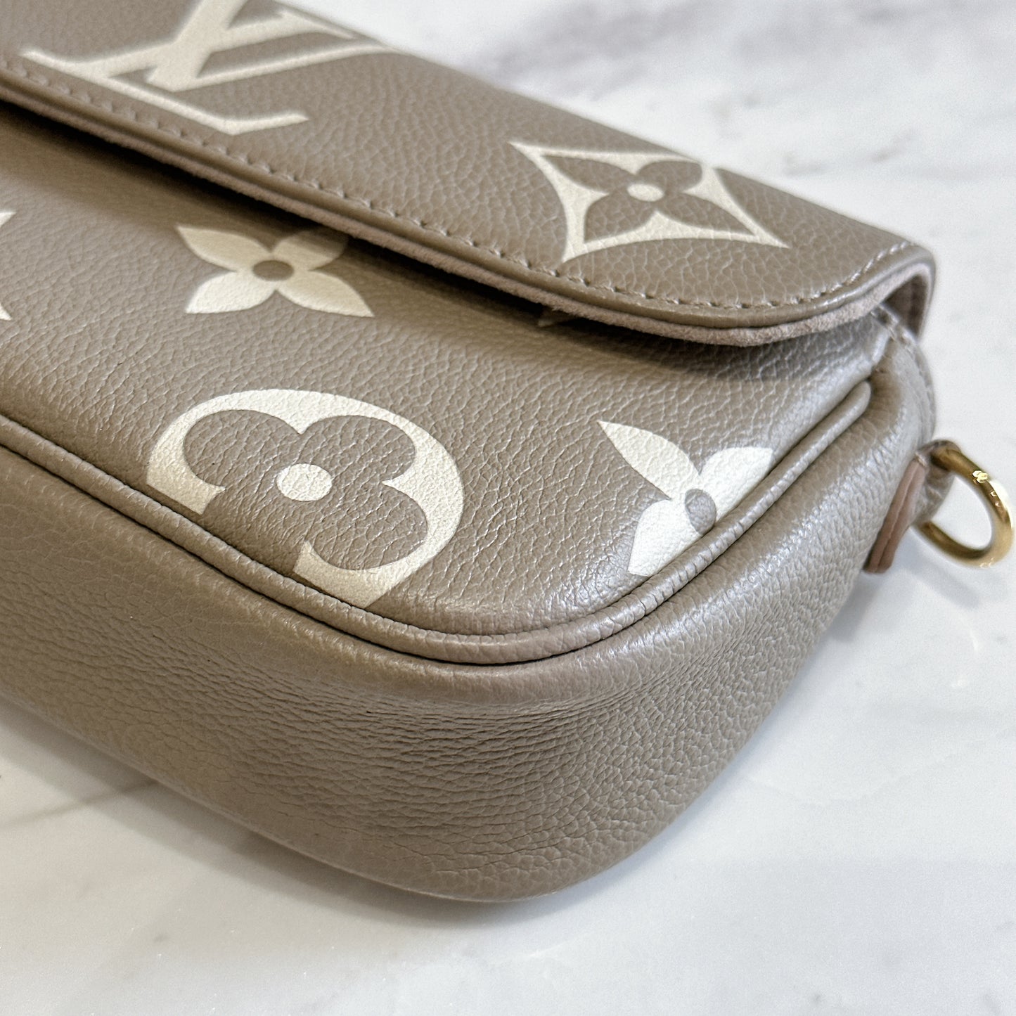 LV Ivy Bicolour WOC