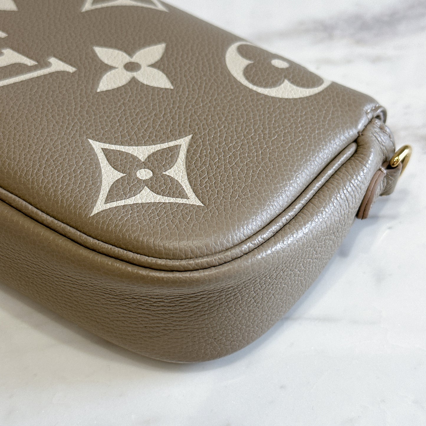 LV Ivy Bicolour WOC
