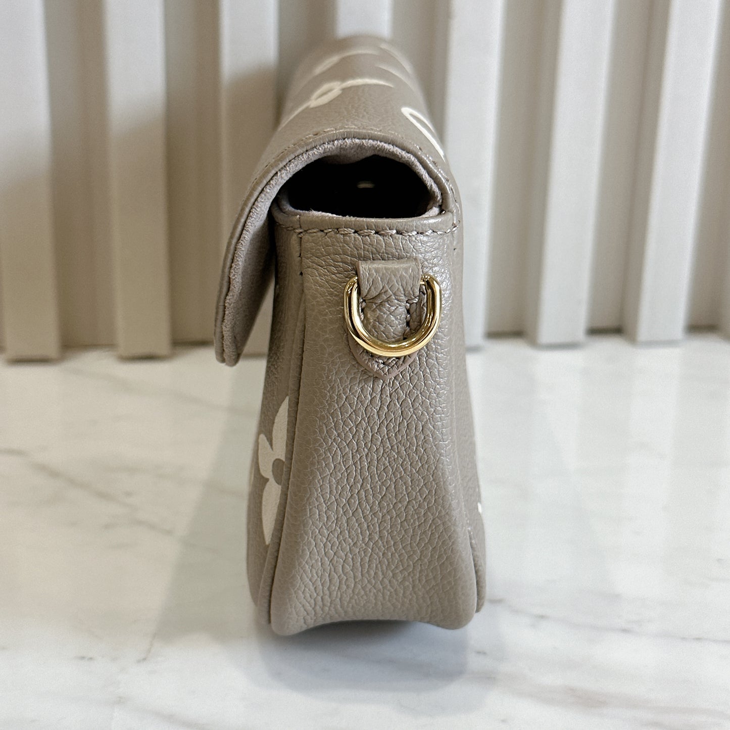 LV Ivy Bicolour WOC