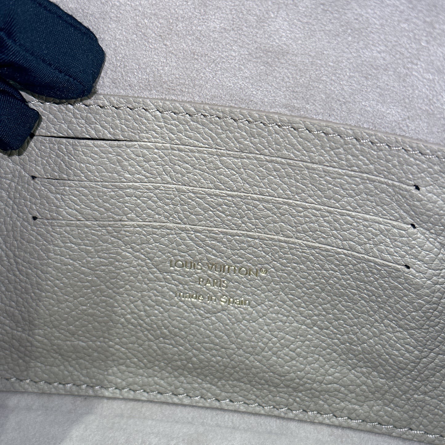LV Ivy Bicolour WOC