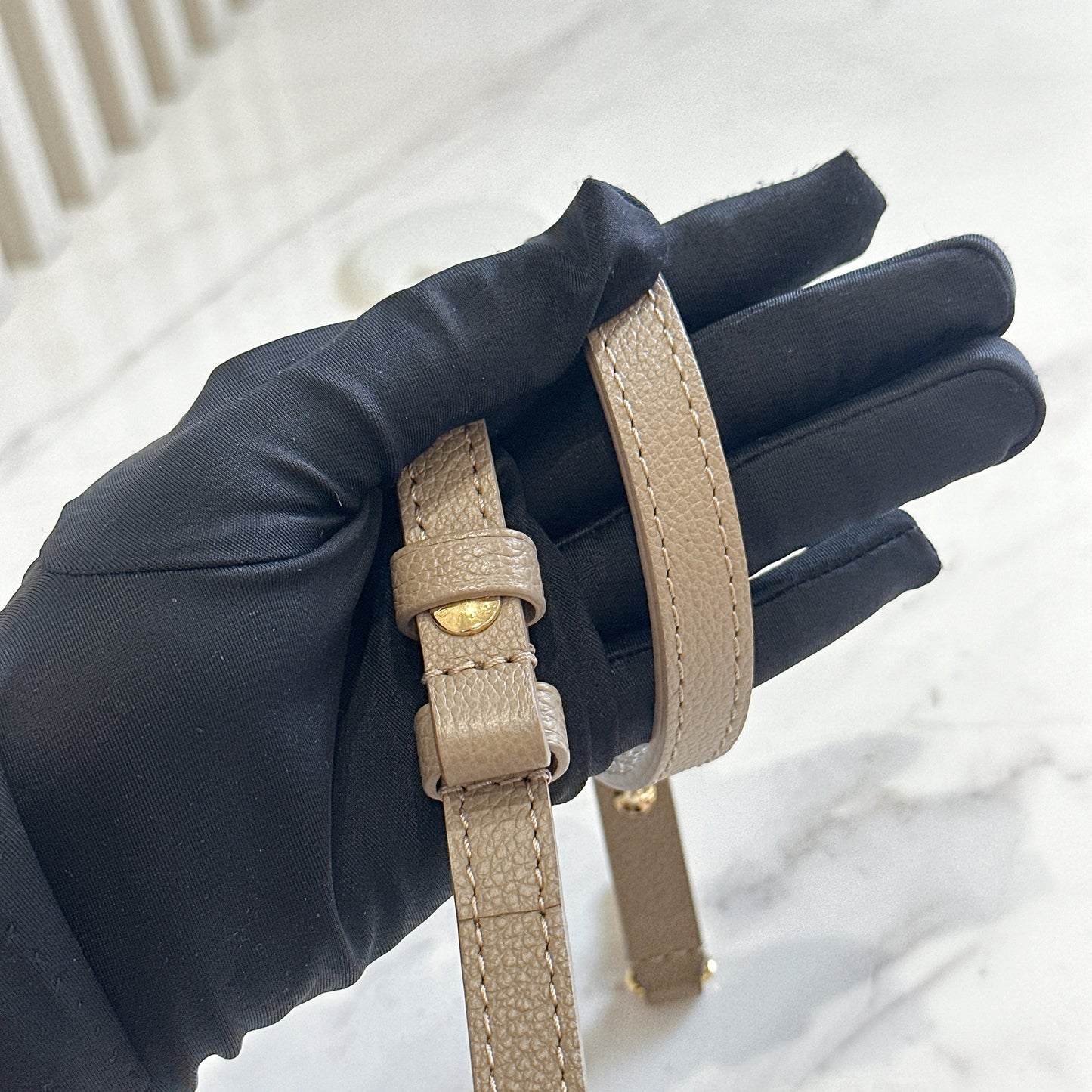 LV Ivy Bicolour WOC