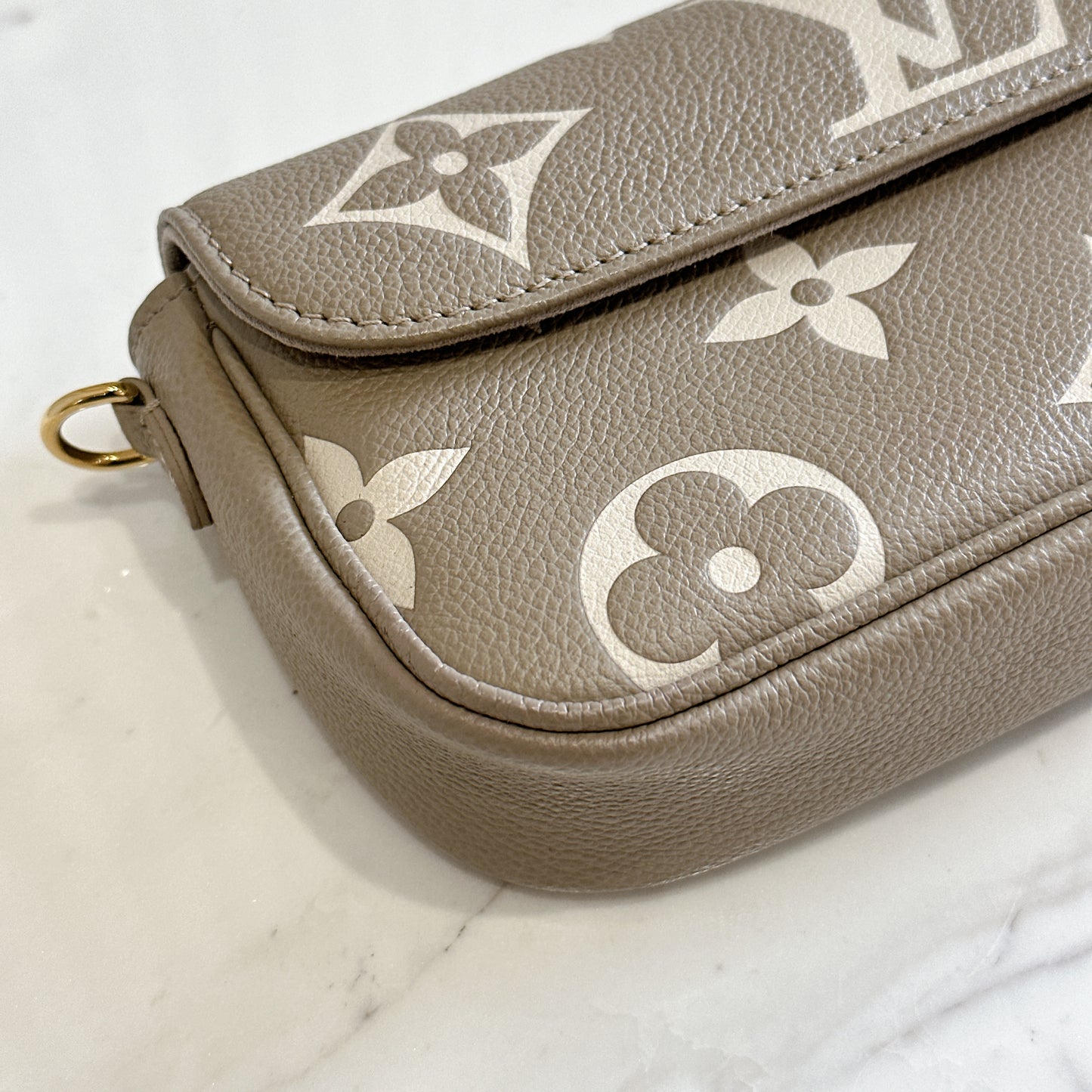 LV Ivy Bicolour WOC