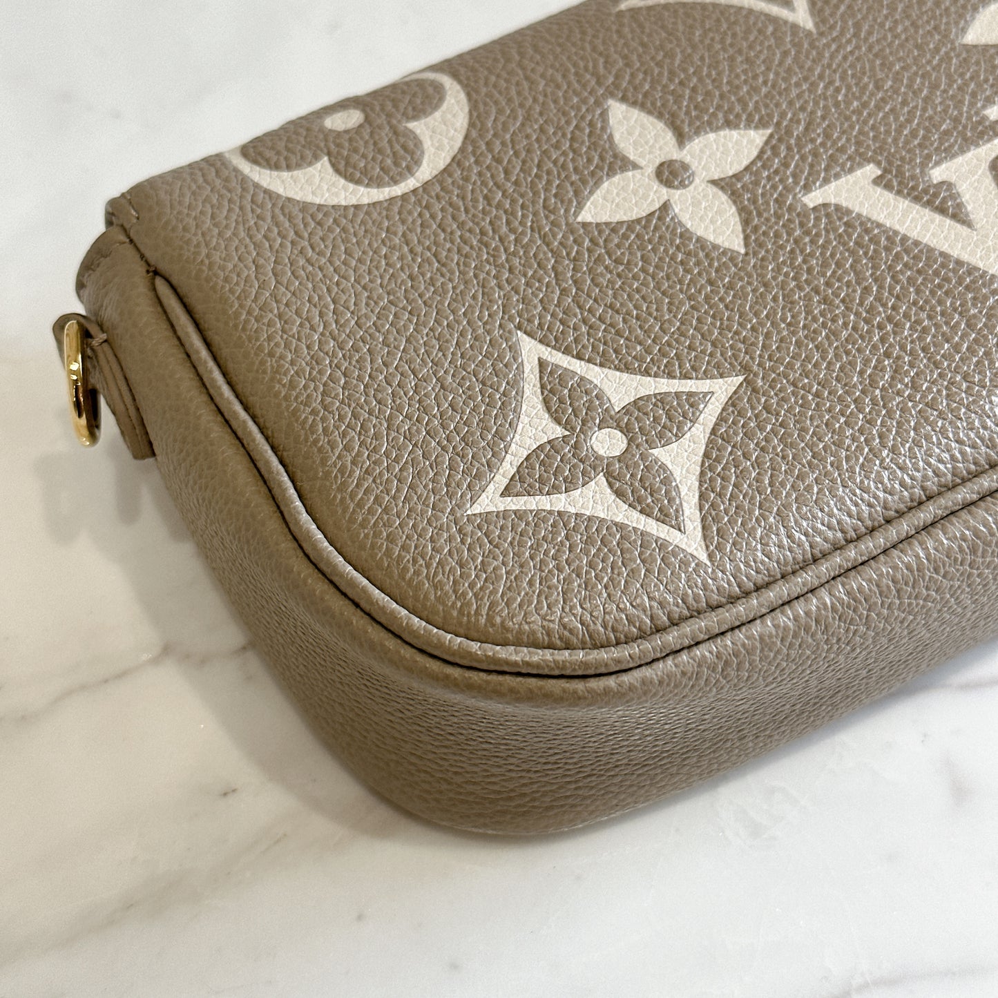 LV Ivy Bicolour WOC