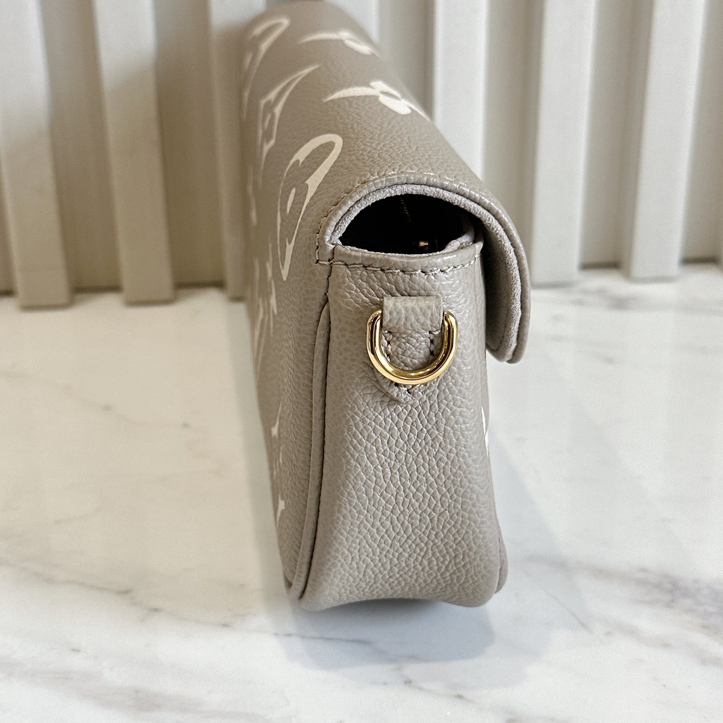 LV Ivy Bicolour WOC
