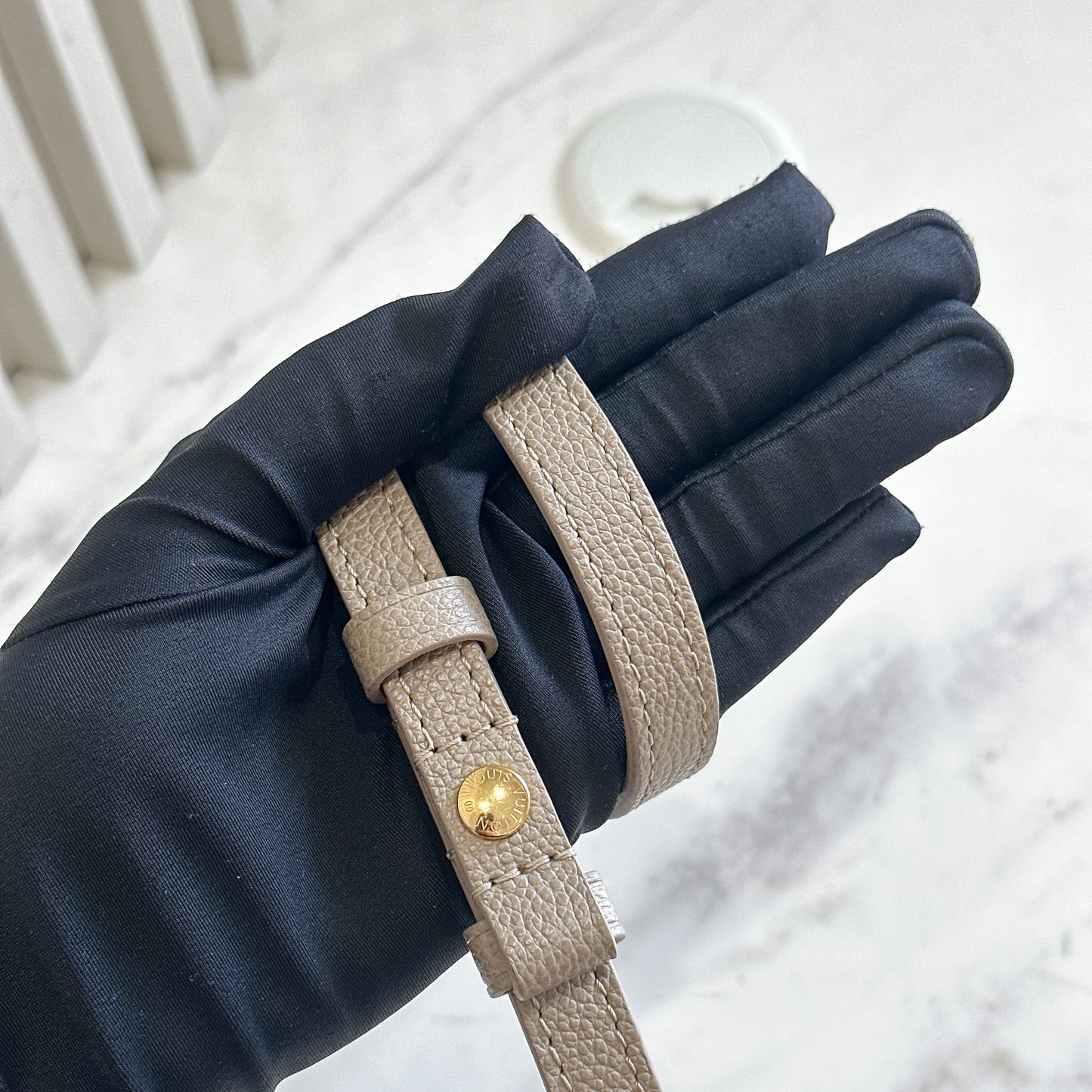 LV Ivy Bicolour WOC