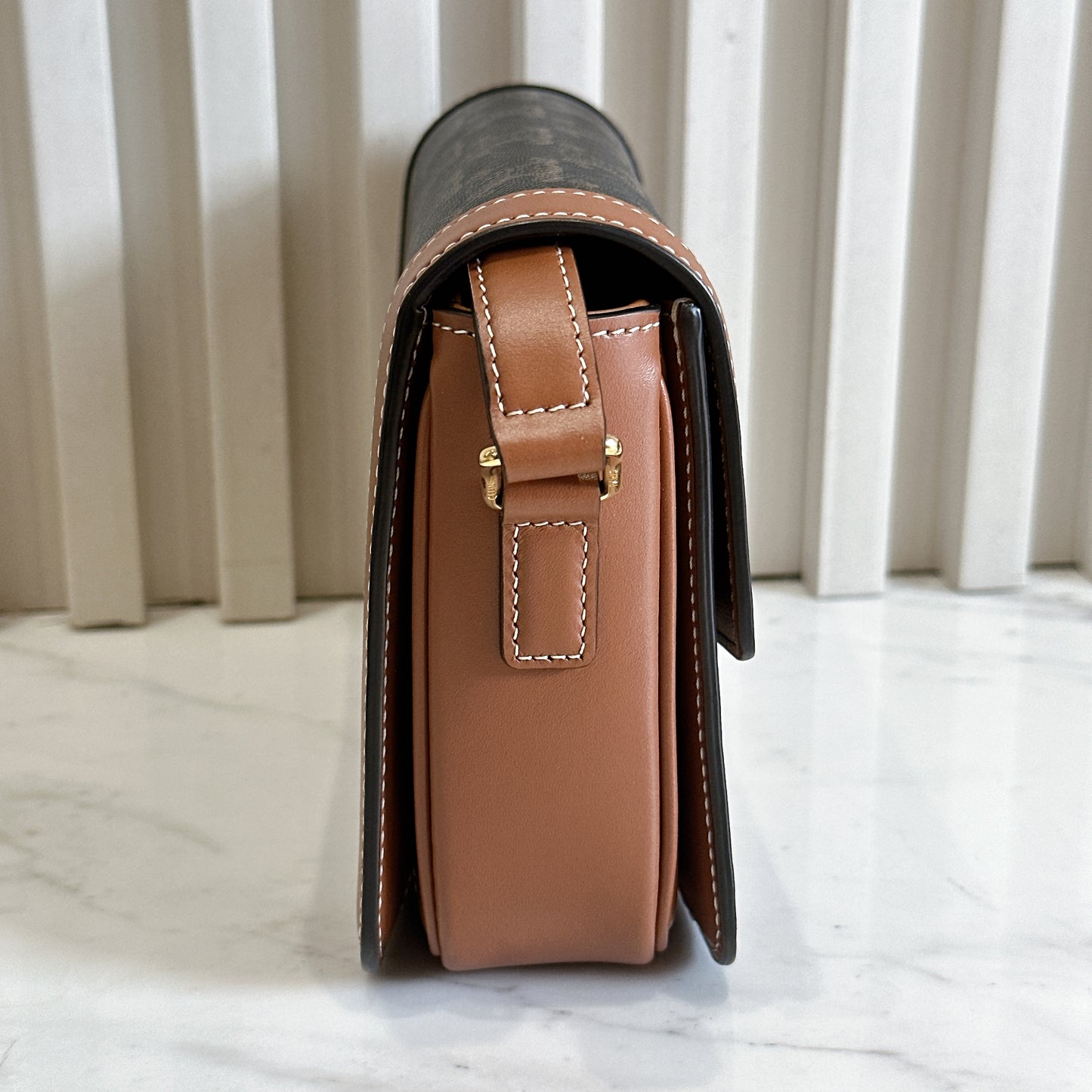 Celine Teen Triomphe in Triomphe Canvas and Calfskin