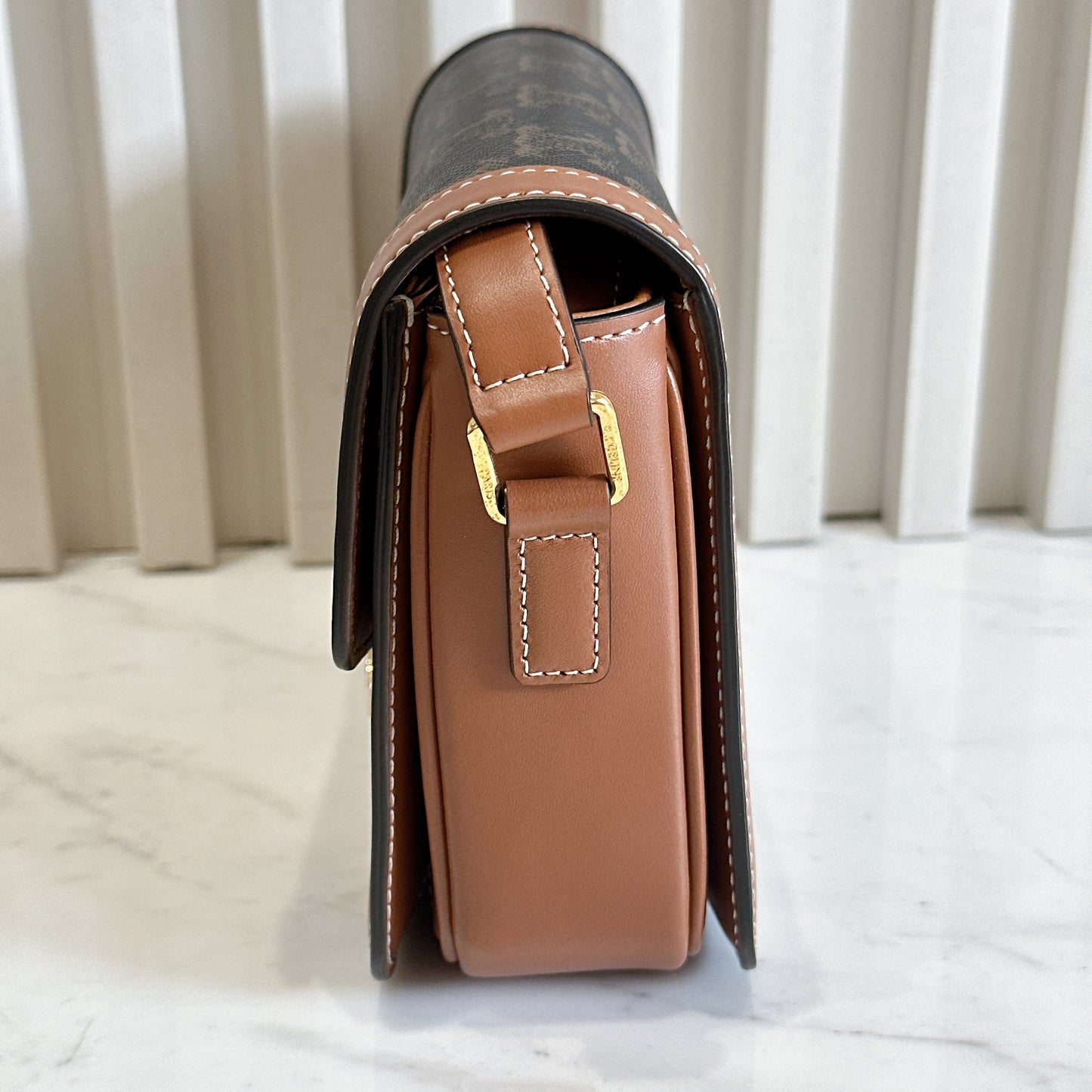 Celine Teen Triomphe in Triomphe Canvas and Calfskin