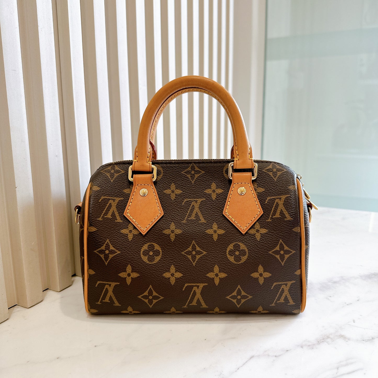 LV Monogram Speedy 20