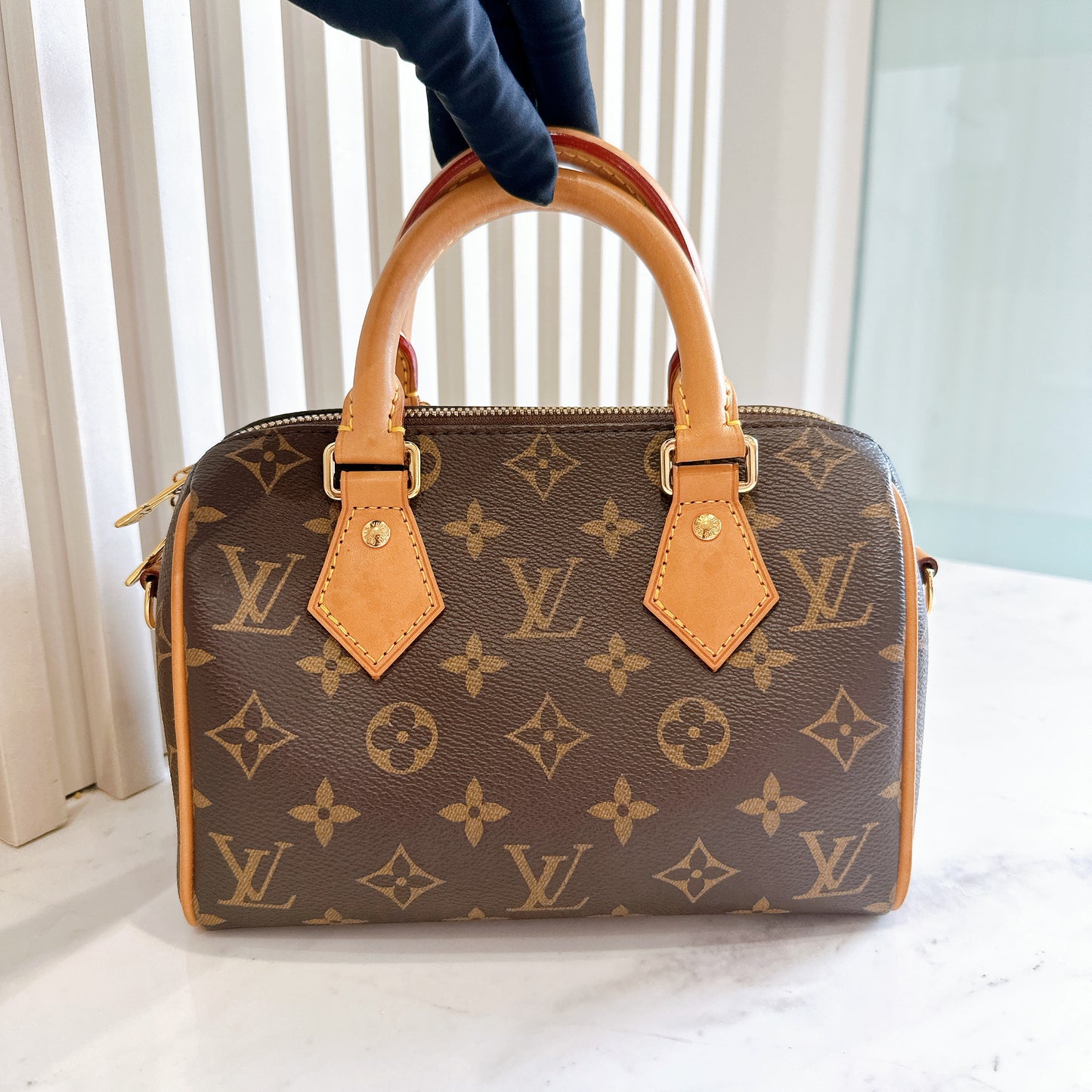 LV Monogram Speedy 20