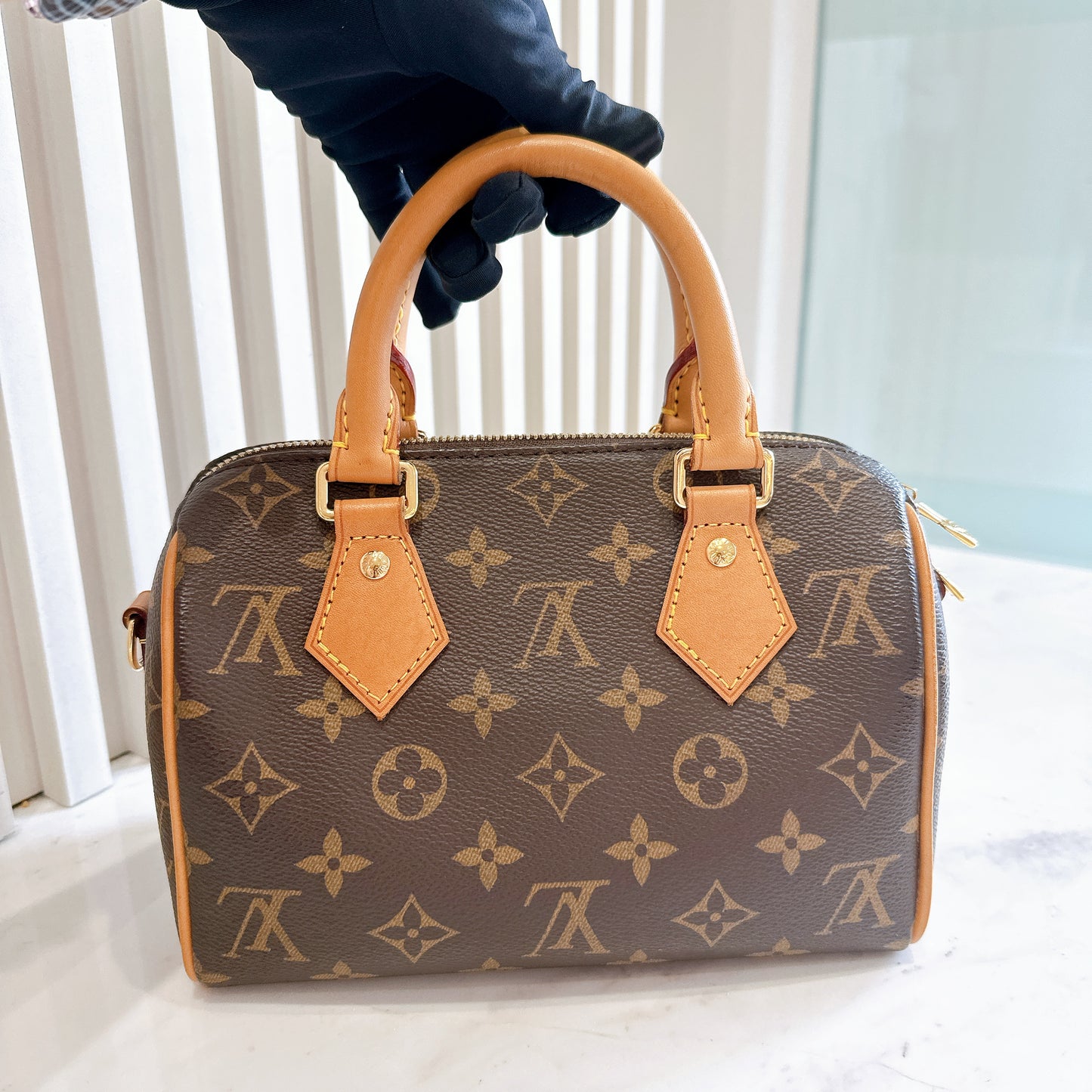 LV Monogram Speedy 20
