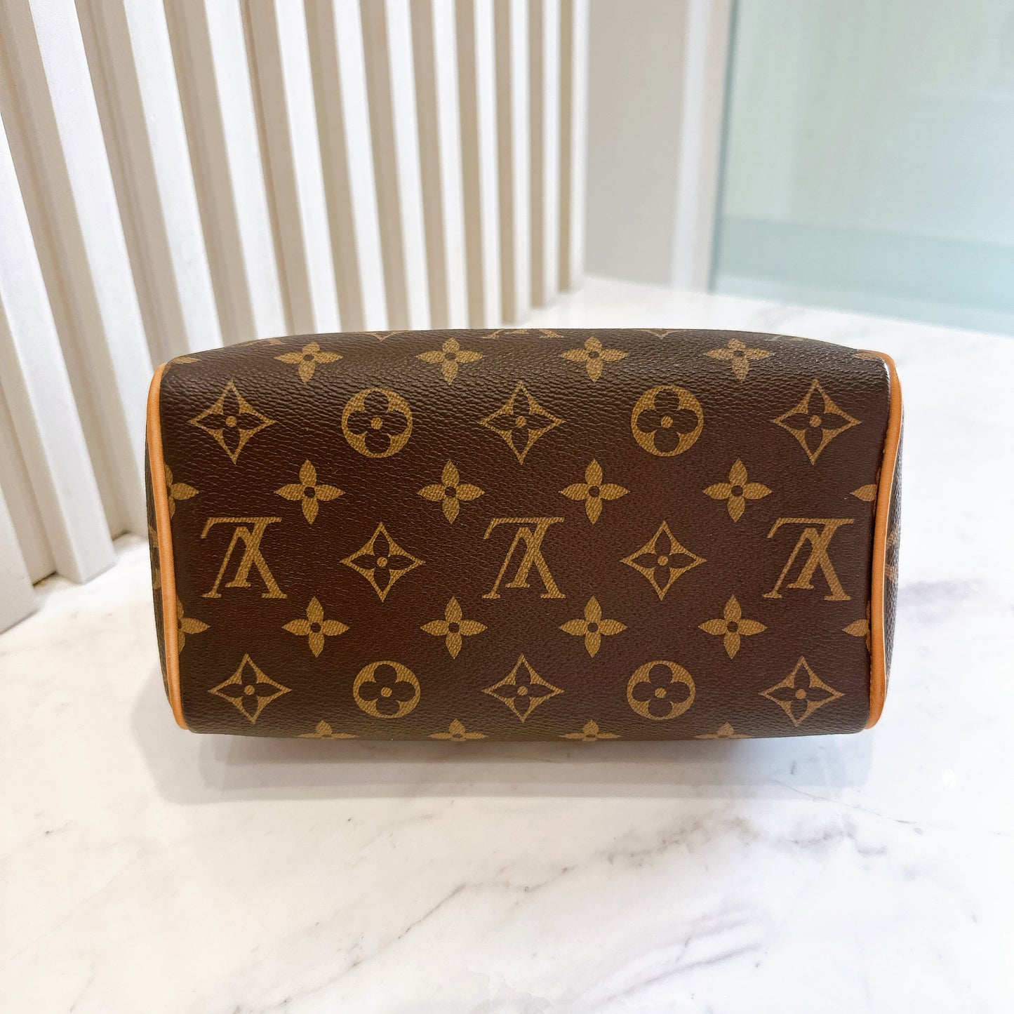 LV Monogram Speedy 20