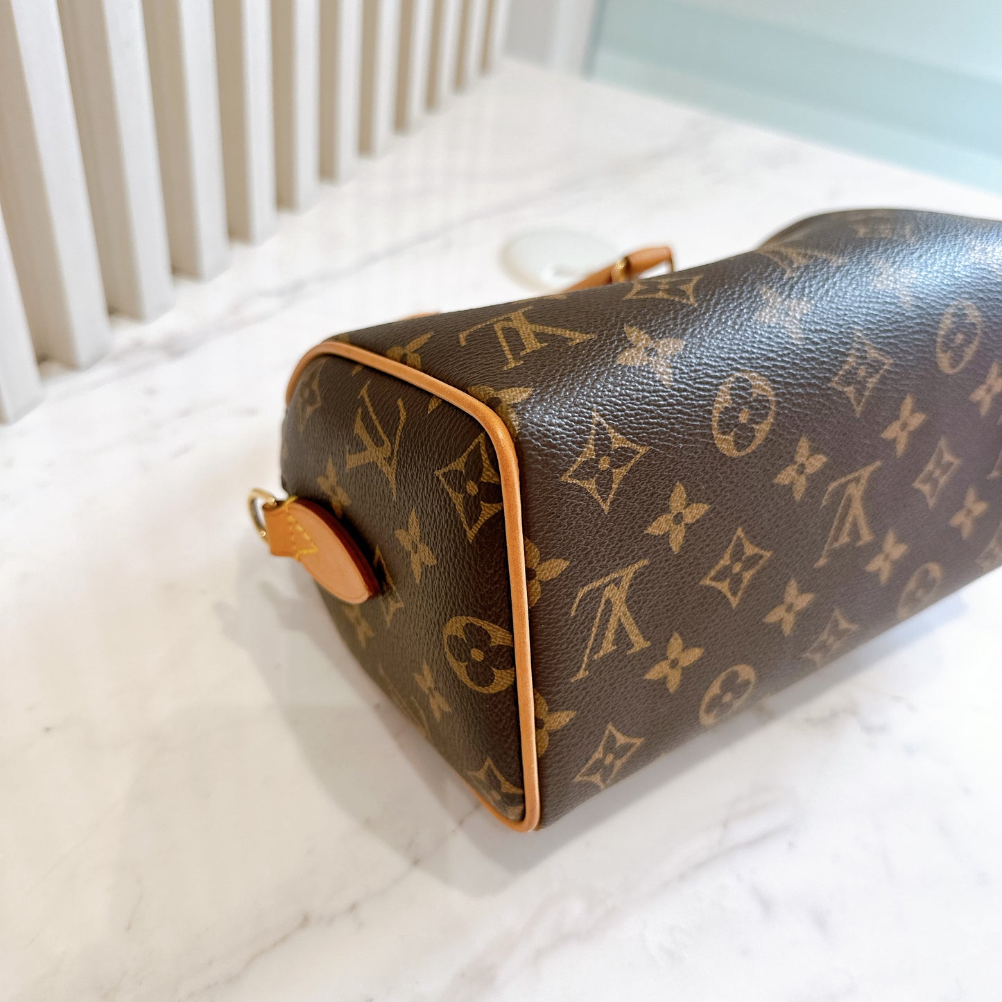 LV Monogram Speedy 20