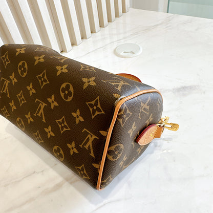 LV Monogram Speedy 20