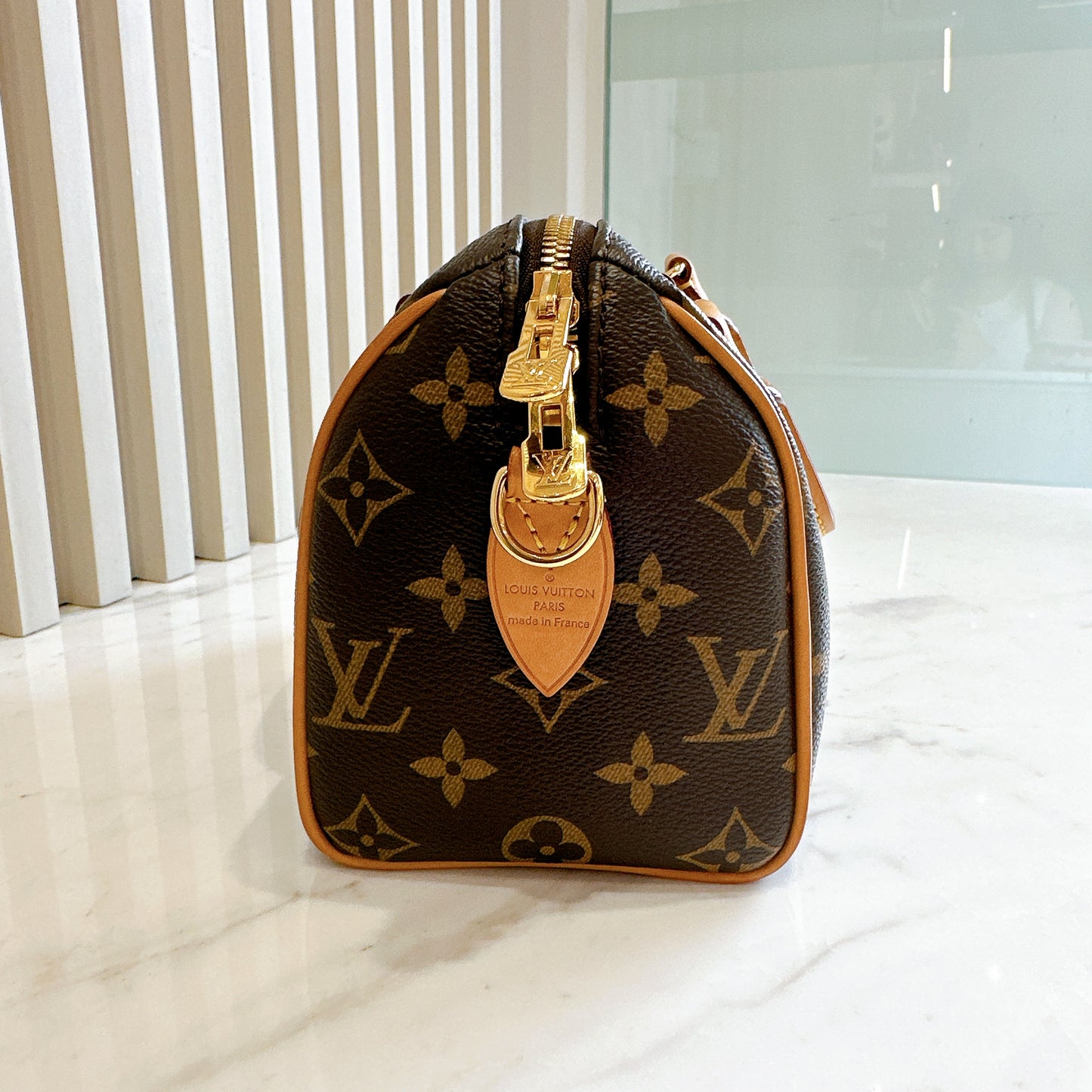 LV Monogram Speedy 20