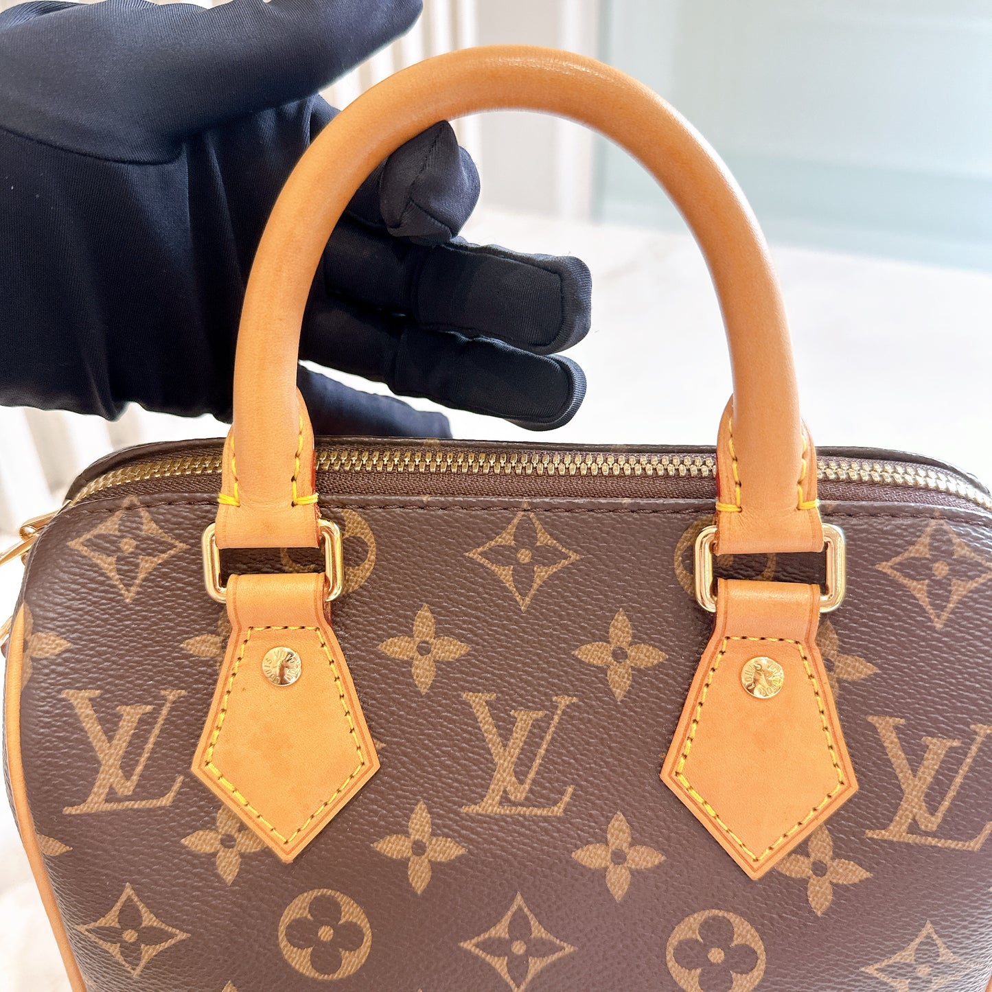 LV Monogram Speedy 20
