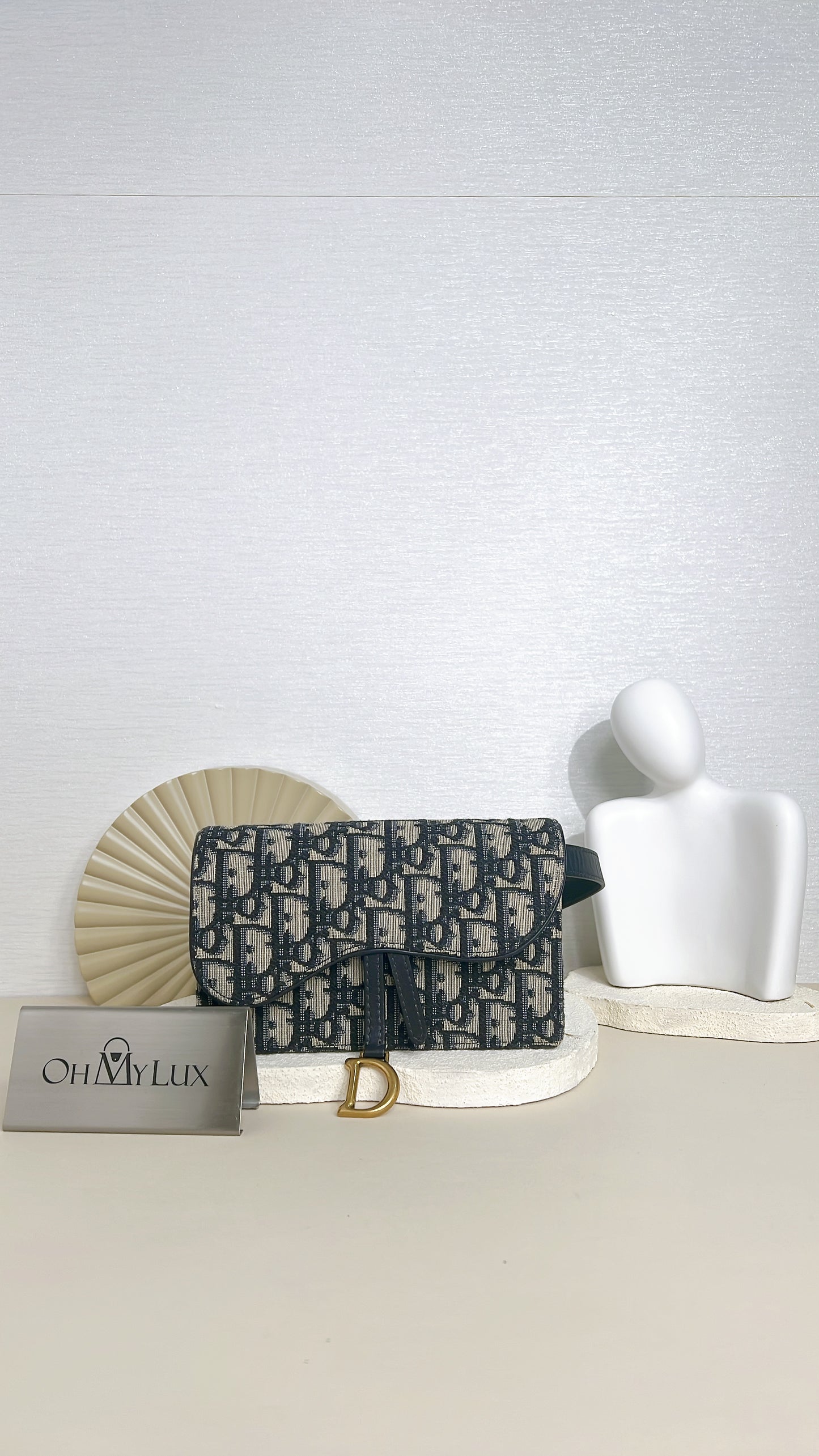 Dior Saddle Belt Pouch