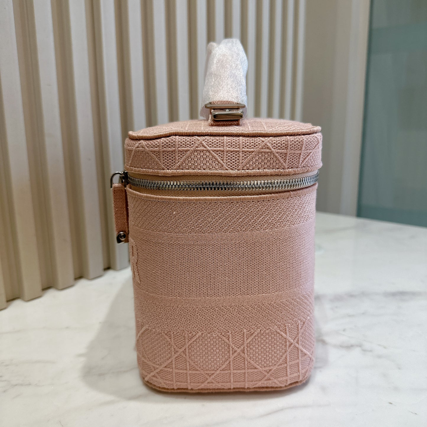 Dior Travel Large Vanity Case in Pink