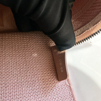 Dior Travel Large Vanity Case in Pink
