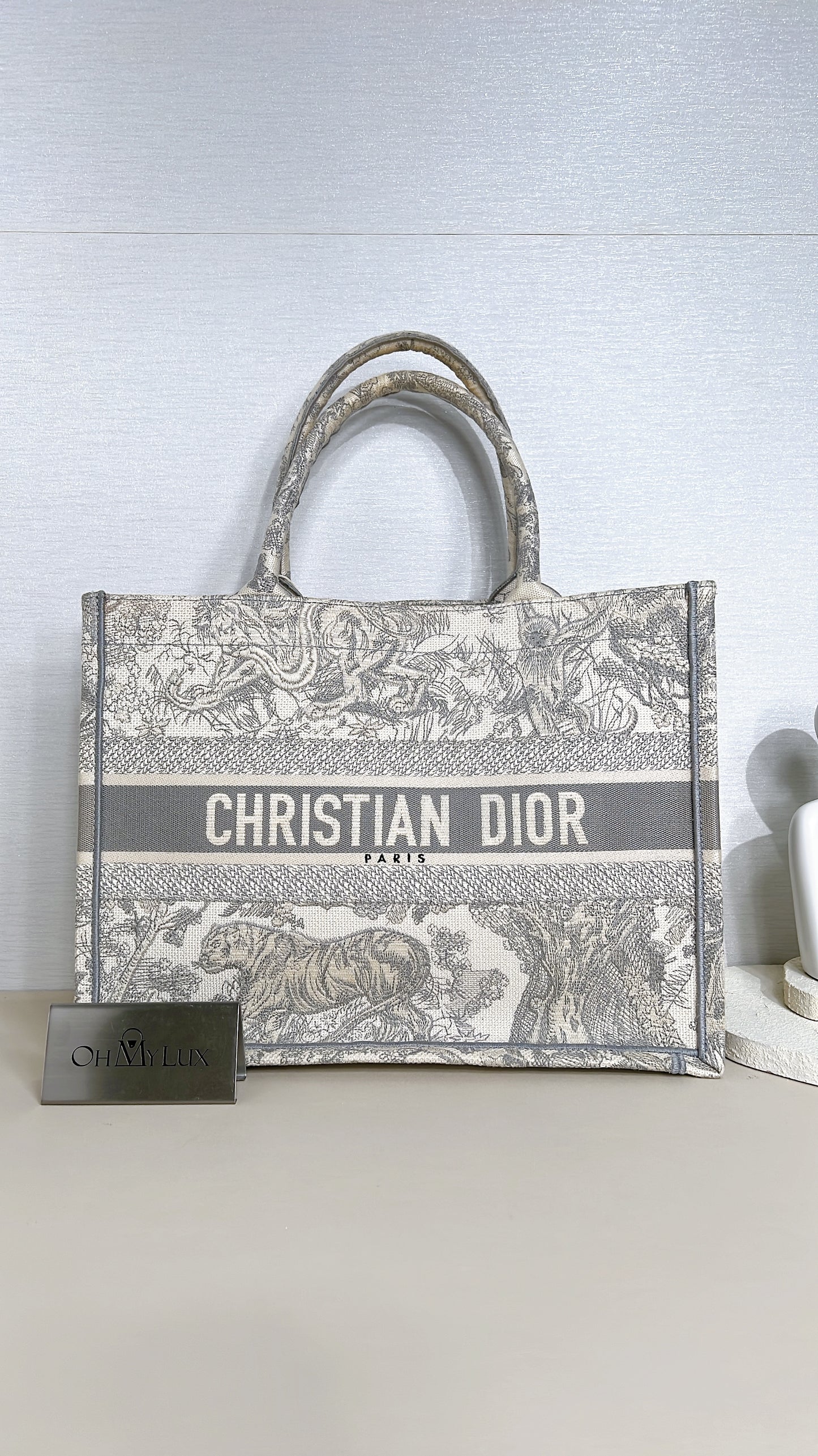 Dior Medium Book Tote in Blue Toile de Jouy Embroidery