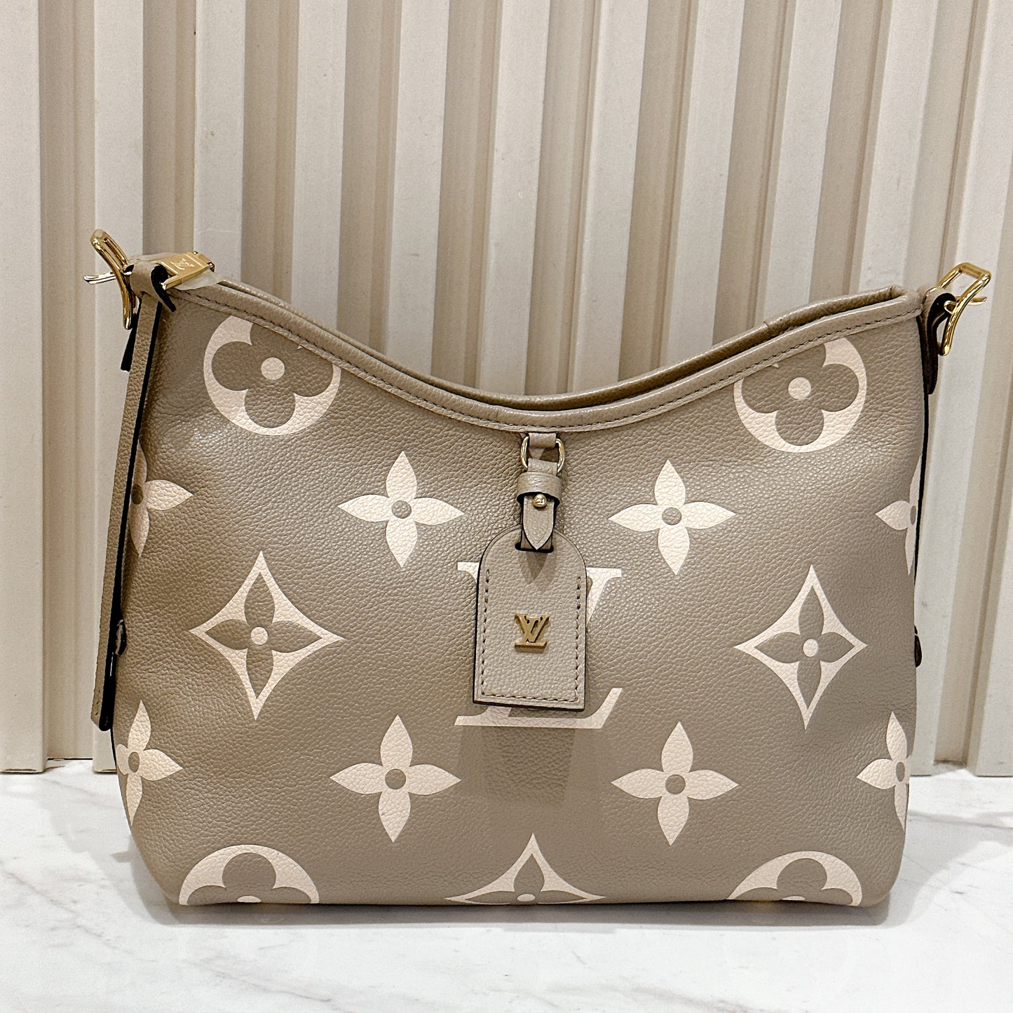 LV Carryall in Bicolour