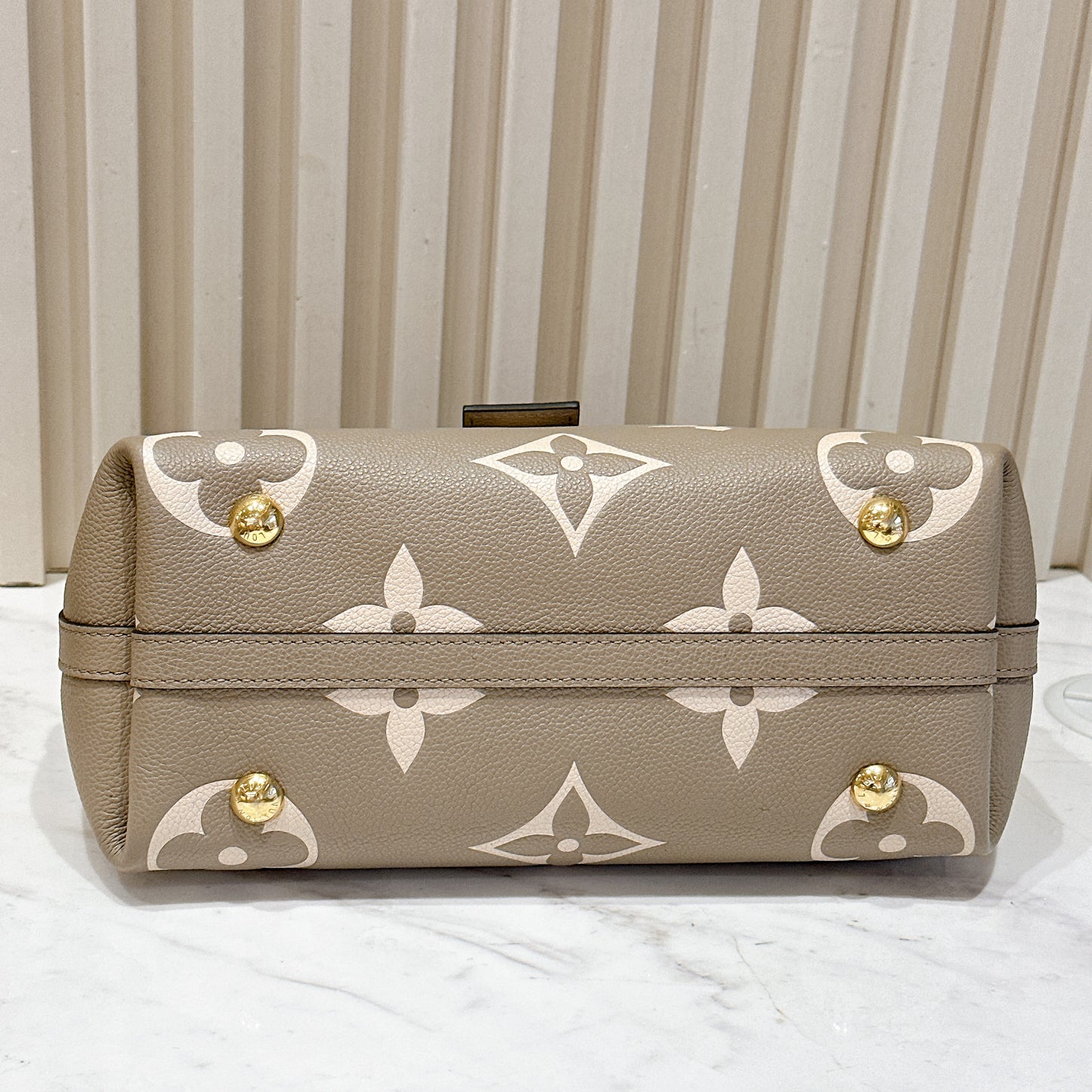 LV Carryall in Bicolour